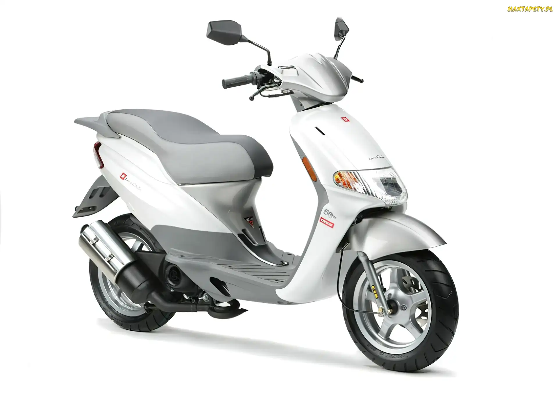 Derbi, biały, 50