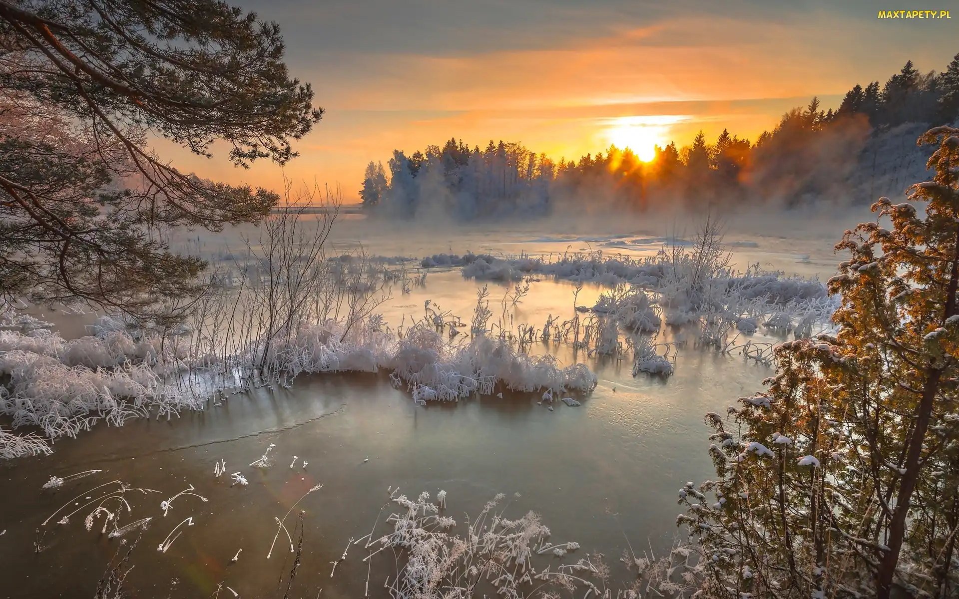 Jezioro, Świt, Mgła, Las, Zima