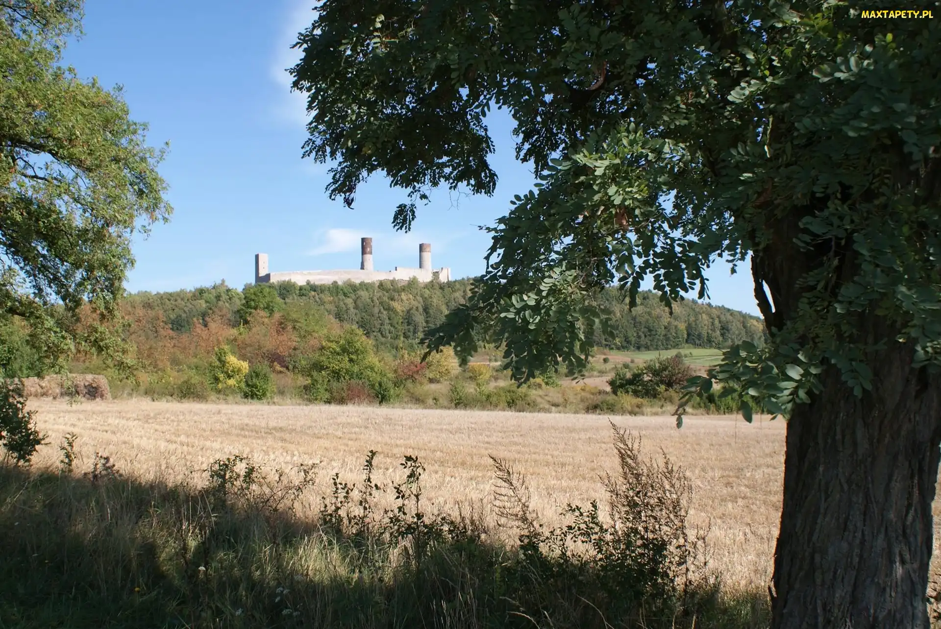 Zamku, Chęciny, Pola, Las, Ruiny