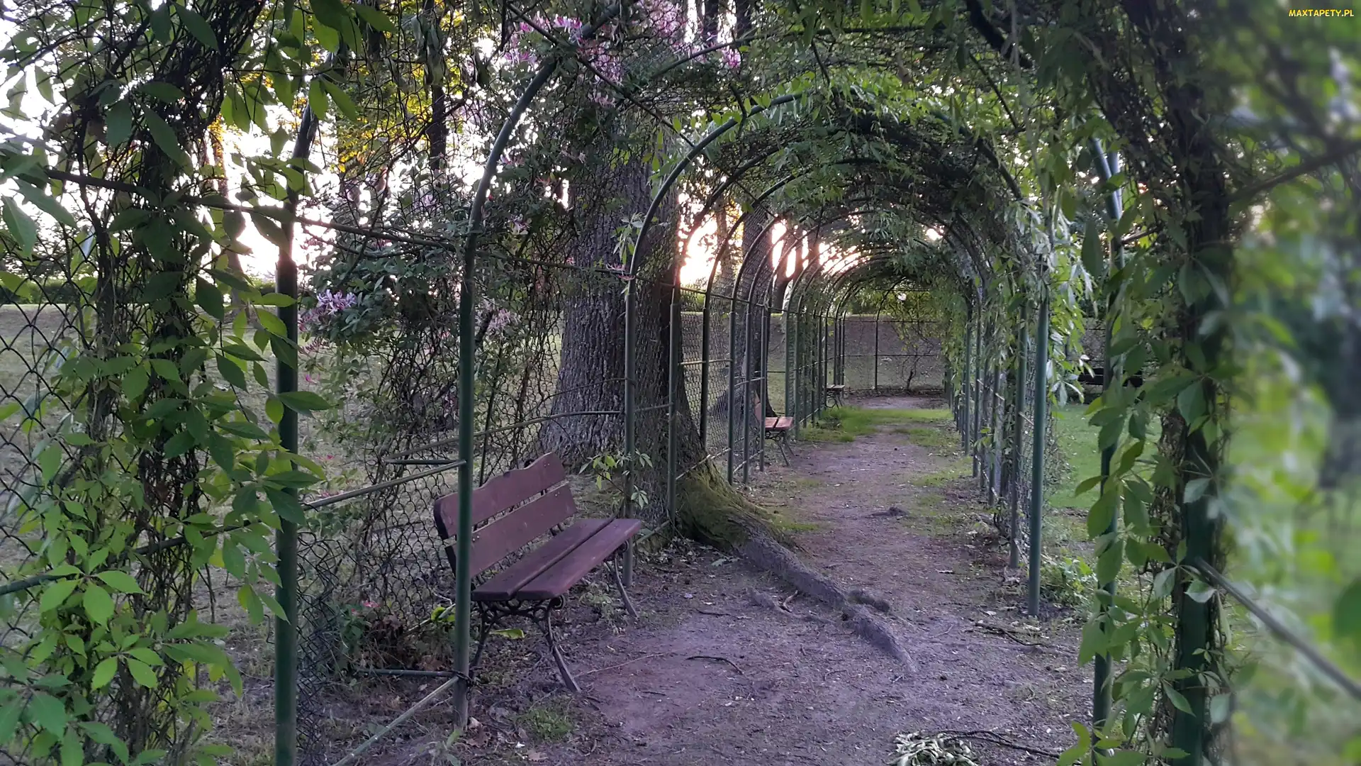 Spacerowy, Ławeczka, Tunel