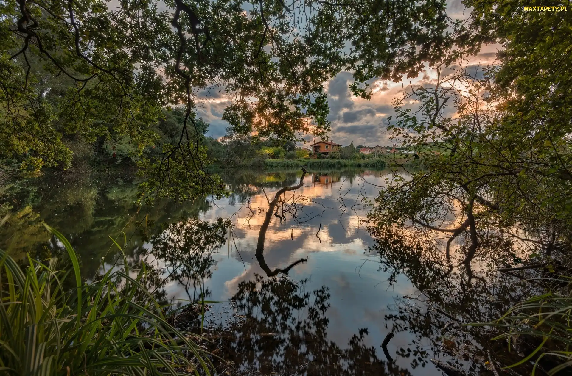 Drzewa, Domy, Rzeka