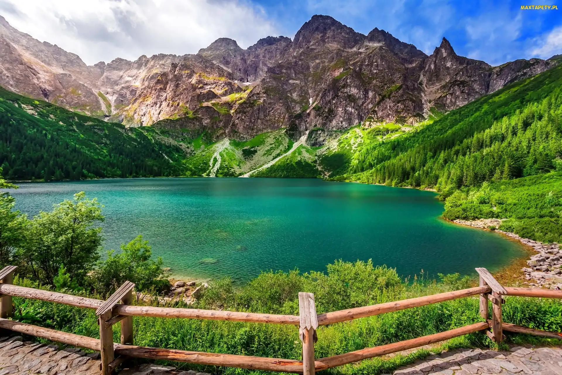 Drzewa, Jezioro Morskie oko, Dolina Rybiego Potoku, Ogrodzenie, Mięguszowickie Szczyty, Polska, Góry Tatry