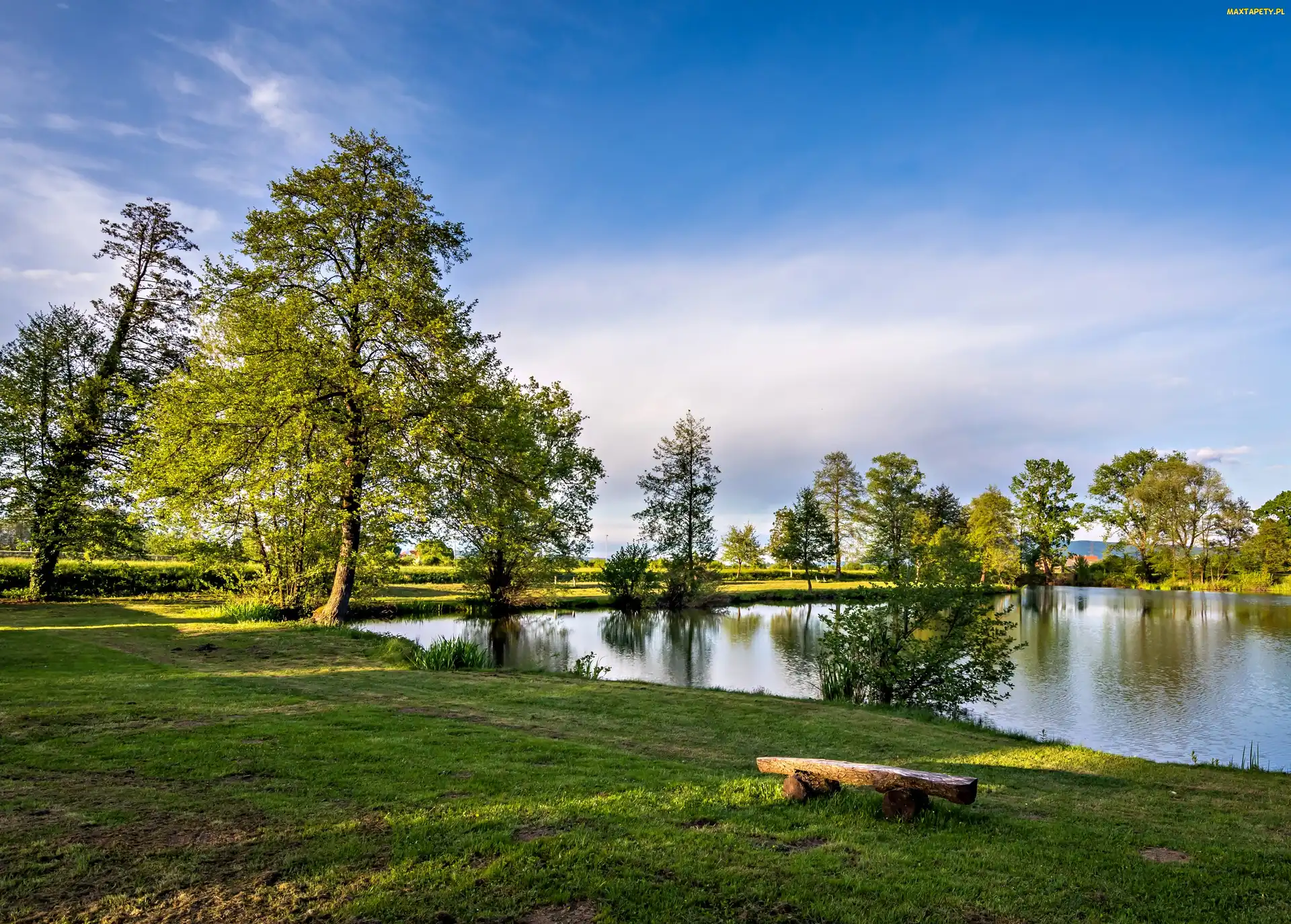 Staw, Zagrzeb, Światło, Przebijające, Park