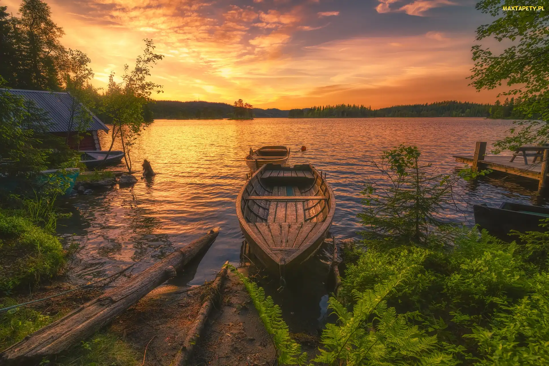 Łódka, Słońca, Zachód, Drzewa, Jezioro