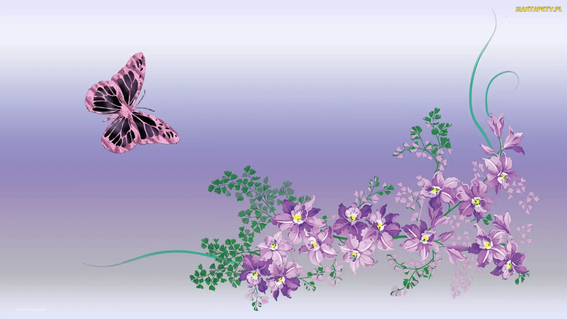 Kwiaty, Motyl, Grafika
