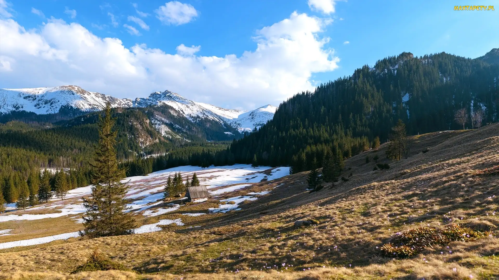 Wzgórza, Śnieg, Domek, Drzewa, Góry