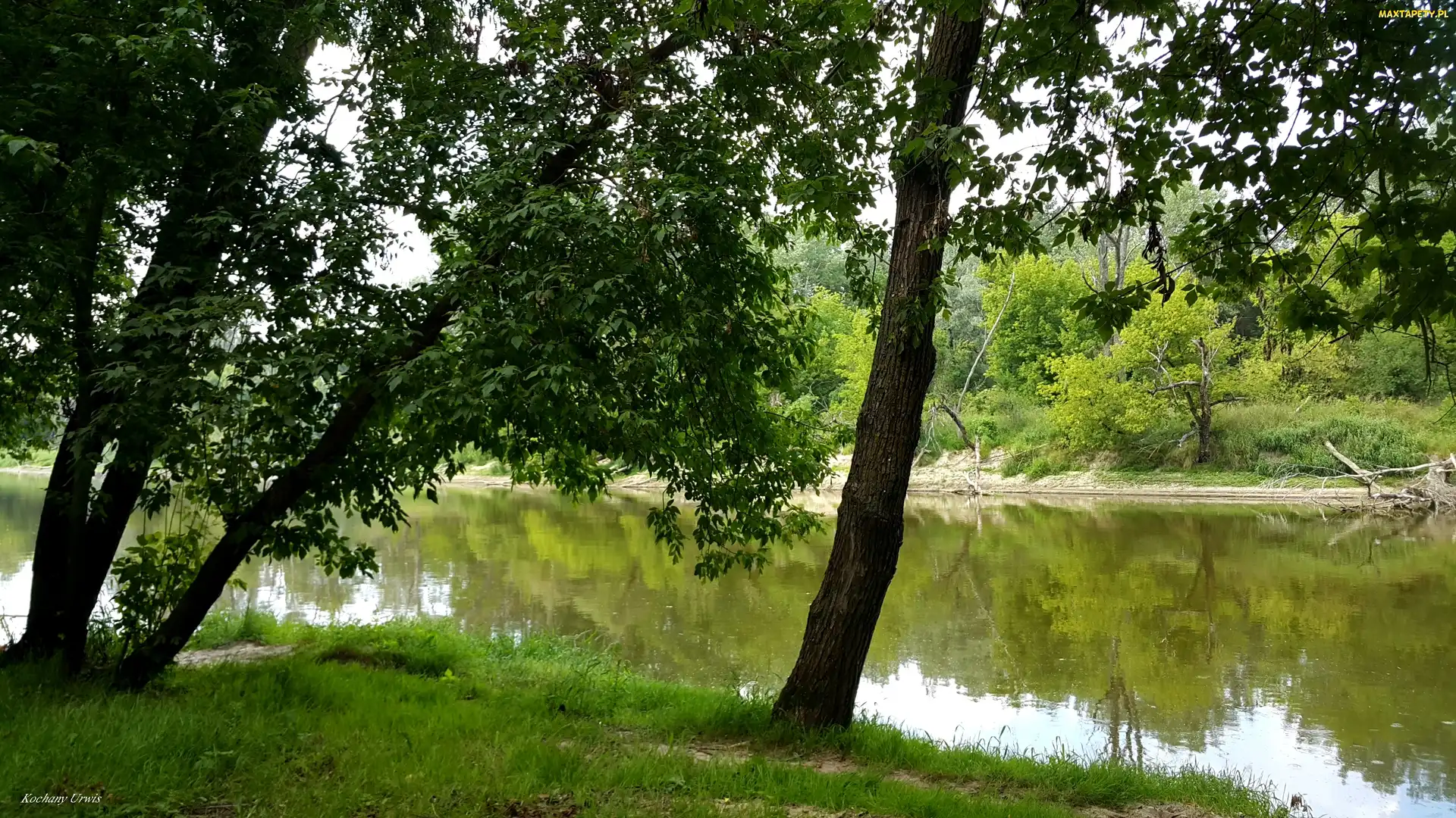 Drzewa, Rzeka