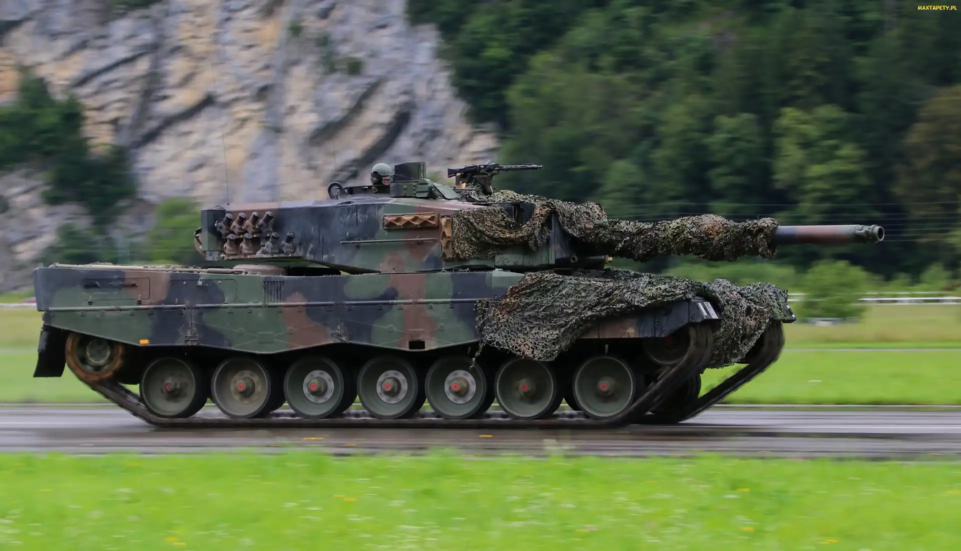 Skała, Leopard 2, Czołg, Droga, Las
