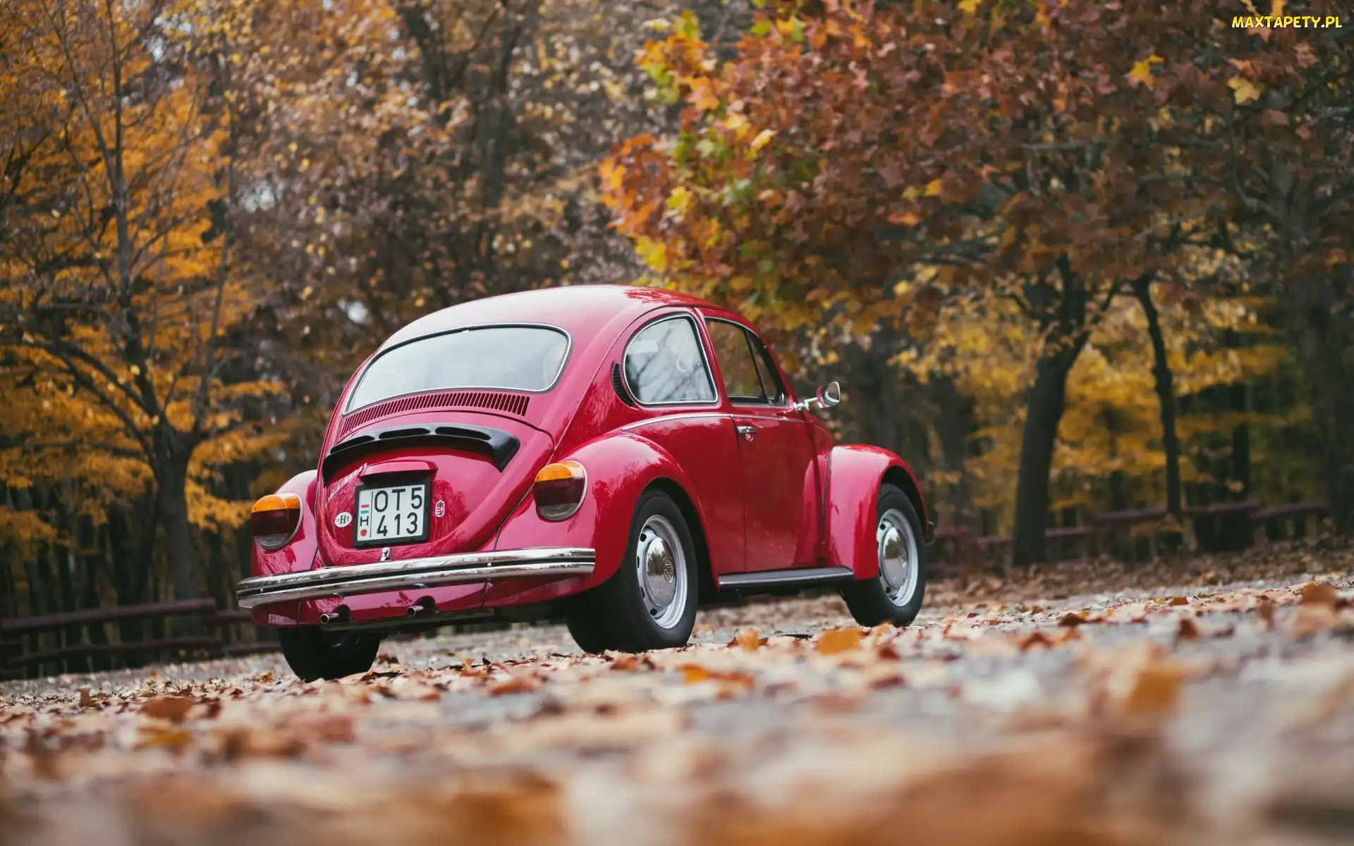 Drzewa, Garbus, Volkswagen, Samochód, Jesień