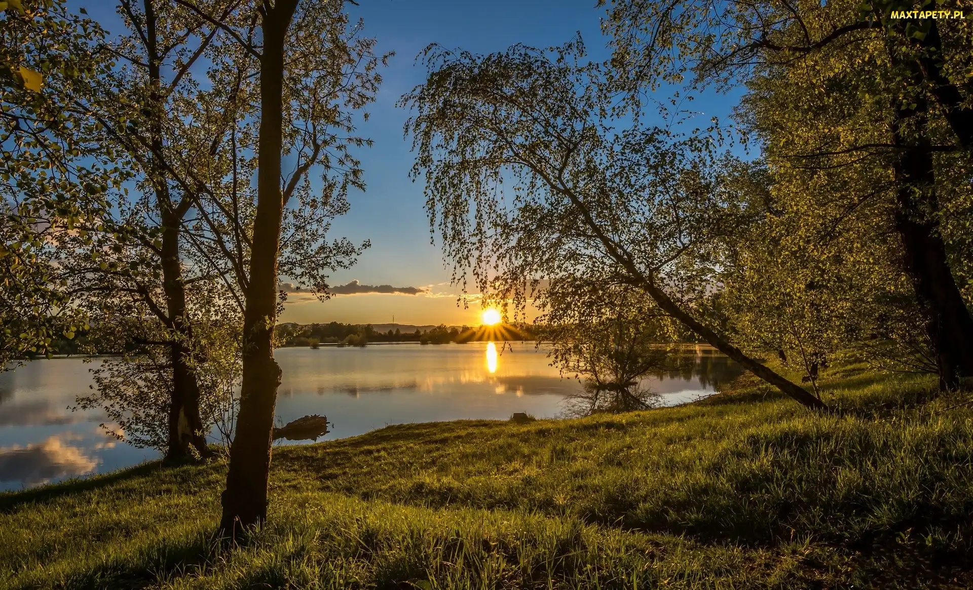 Drzewa. Wschód, Słońca, Jezioro