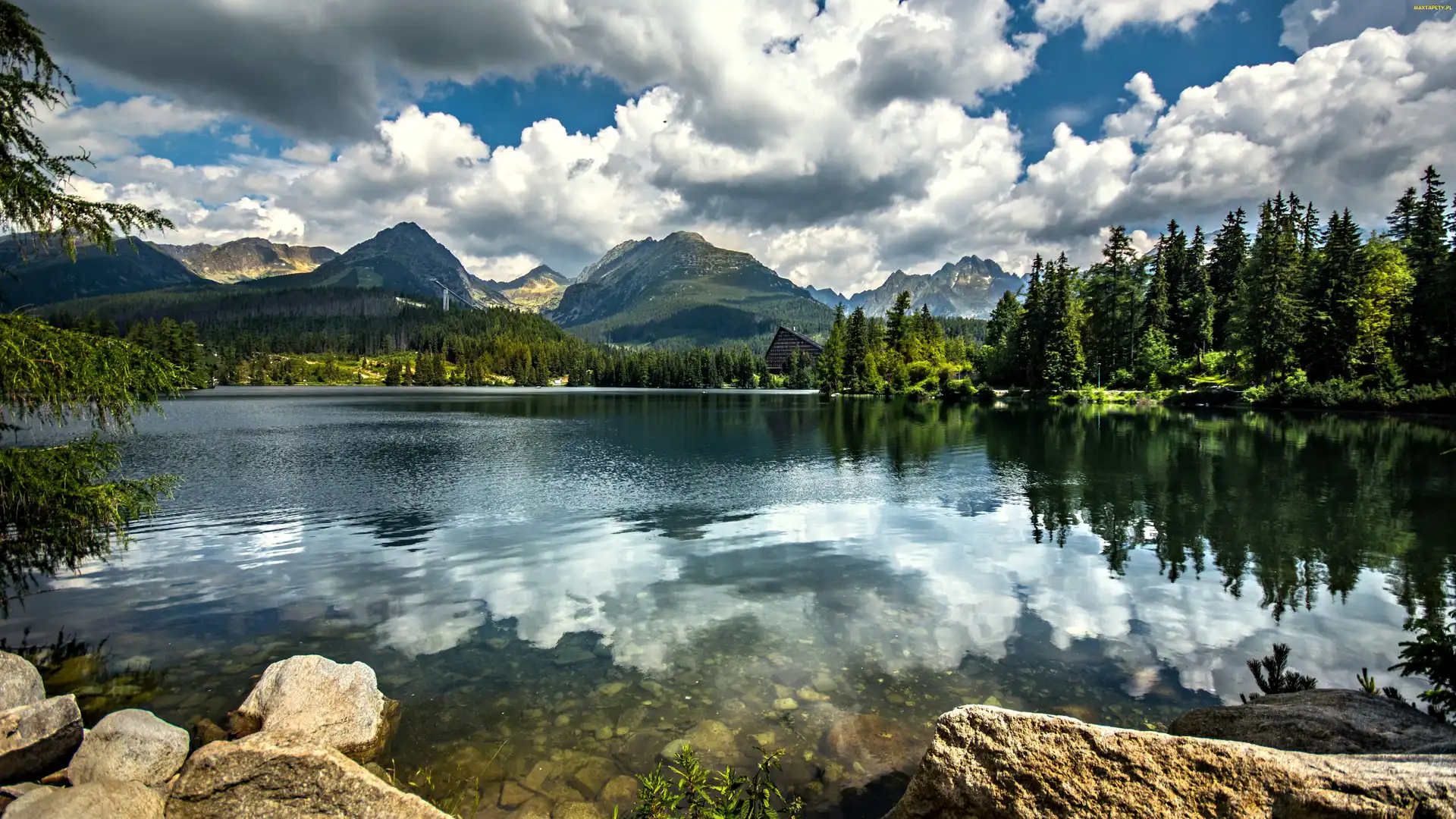 Słowacja, Odbicie, Lasy, Jezioro, Tatry Wysokie