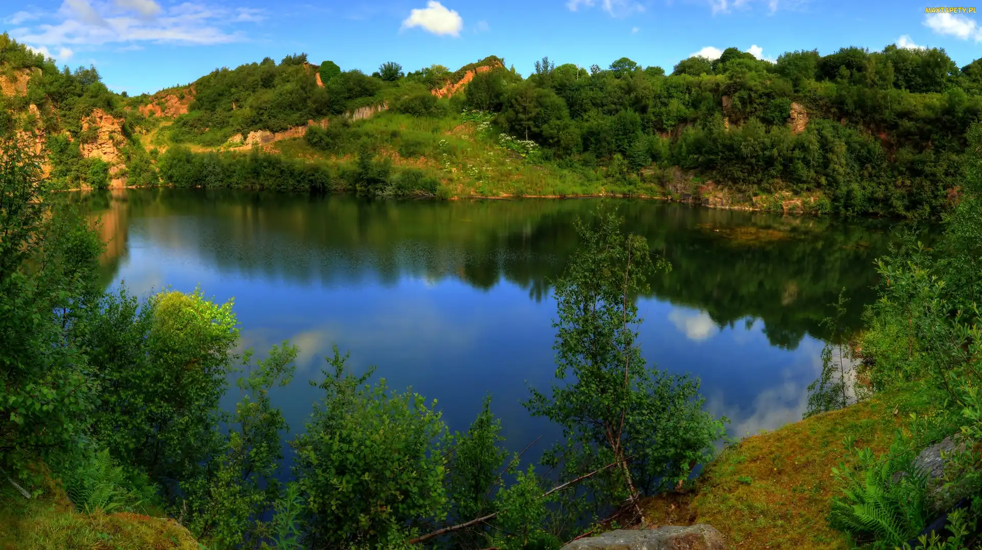 Jezioro, Lato, Las