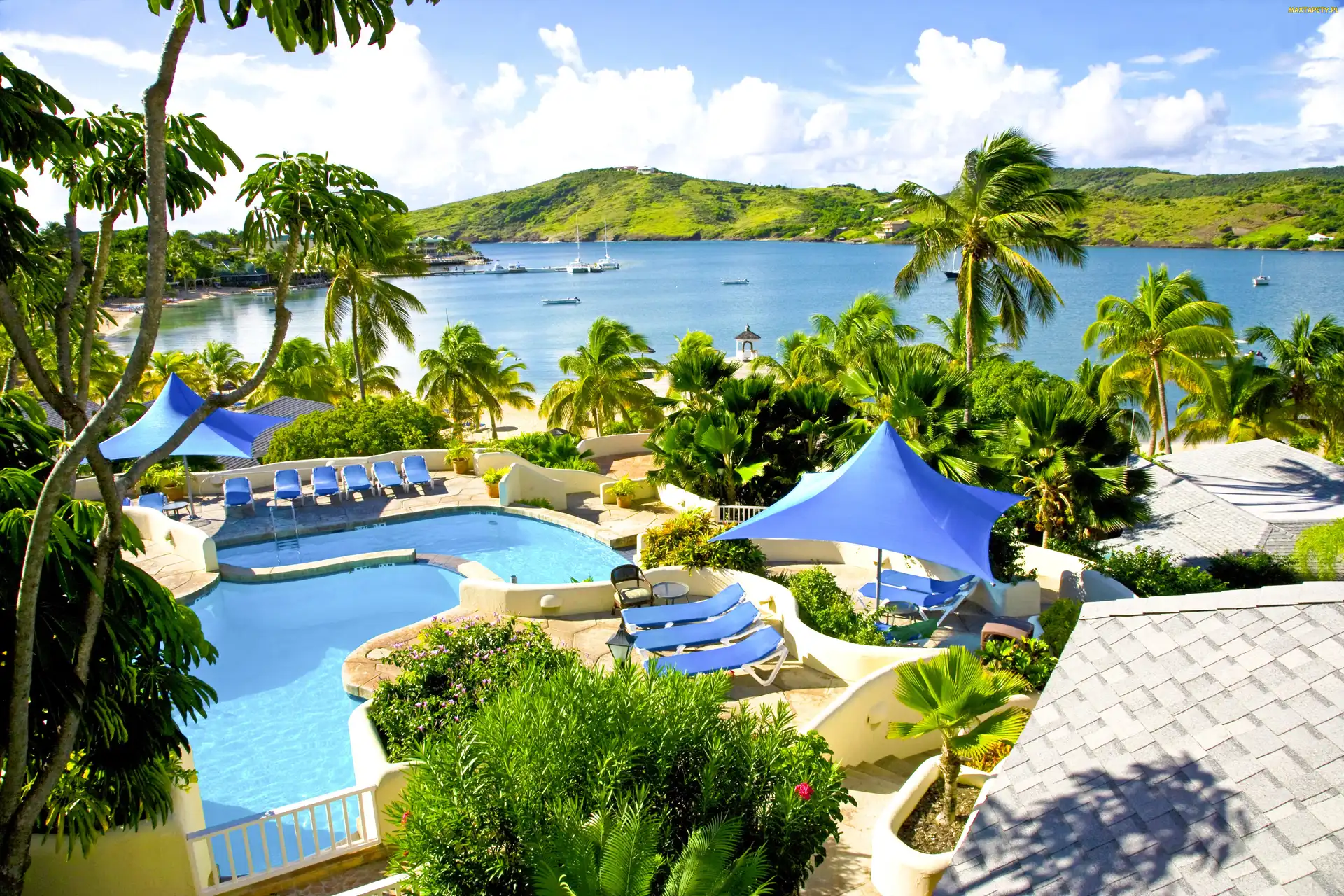 Ocean, Palmy, Karaiby, Antigua, Ośrodek, Basen