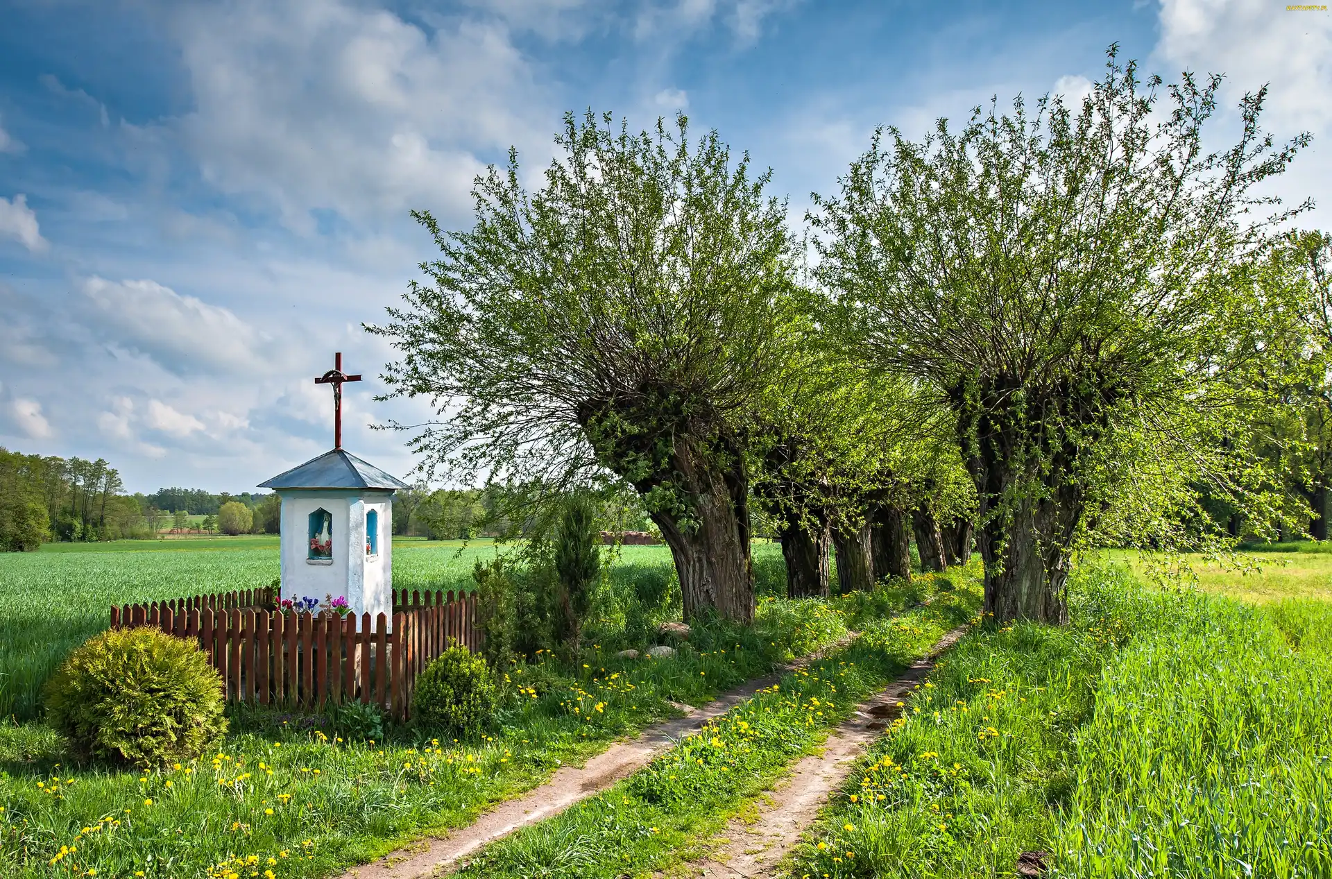 Wierzby, Polska, Pola, Kapliczka, Droga