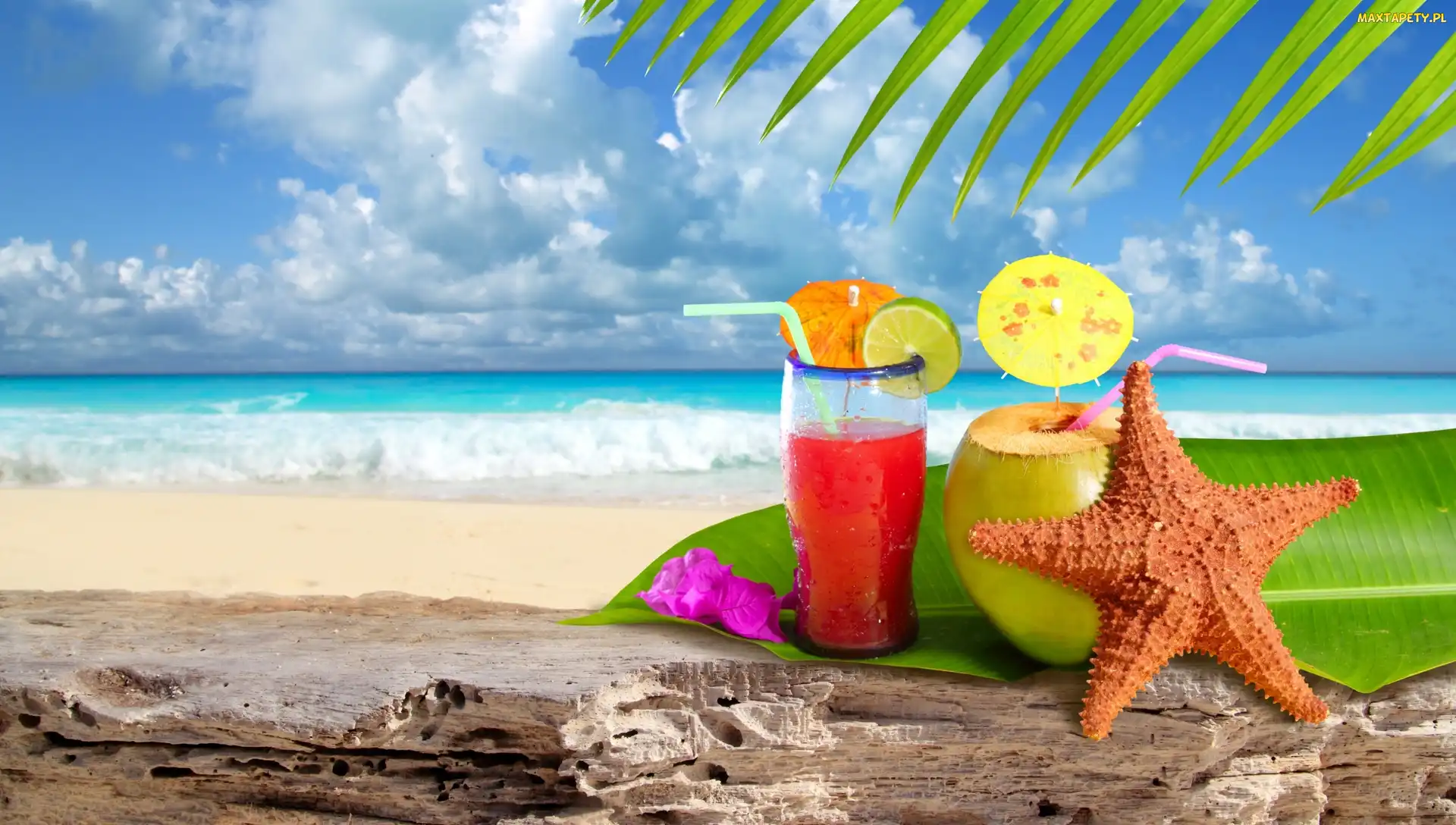 Plaża, Wakacje, Rozgwiazda, Drinki, Letnia