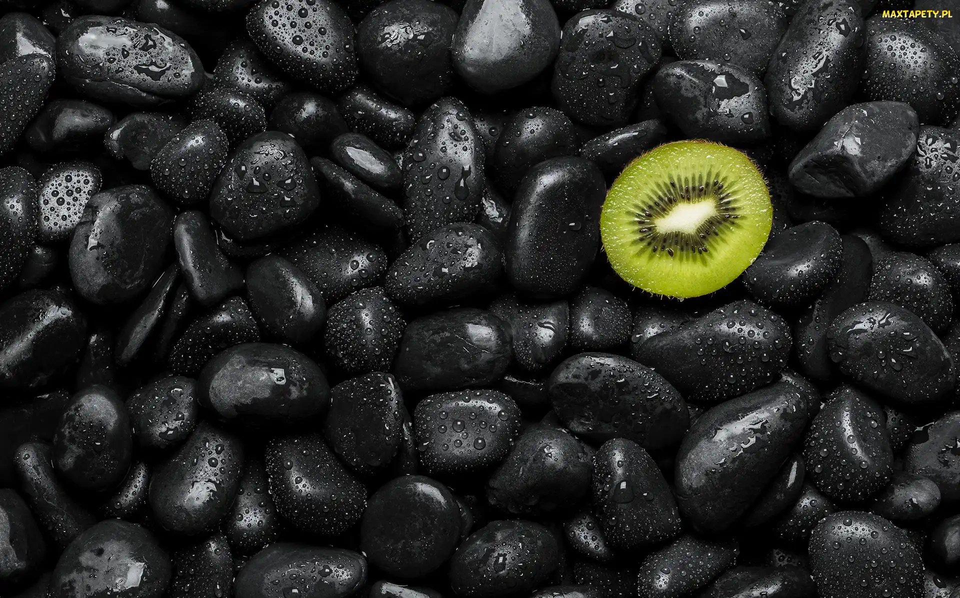 Kiwi, Kamienie, Połówka