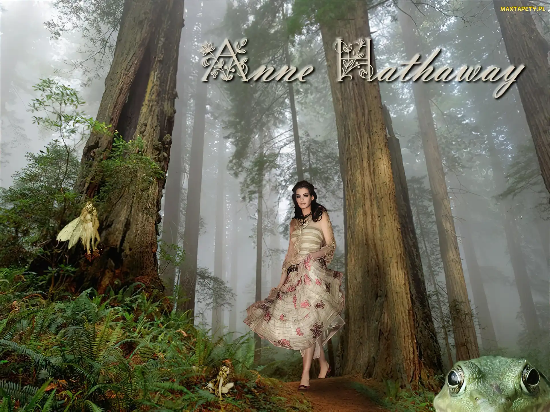 Las, drzewa, Anne Hathaway