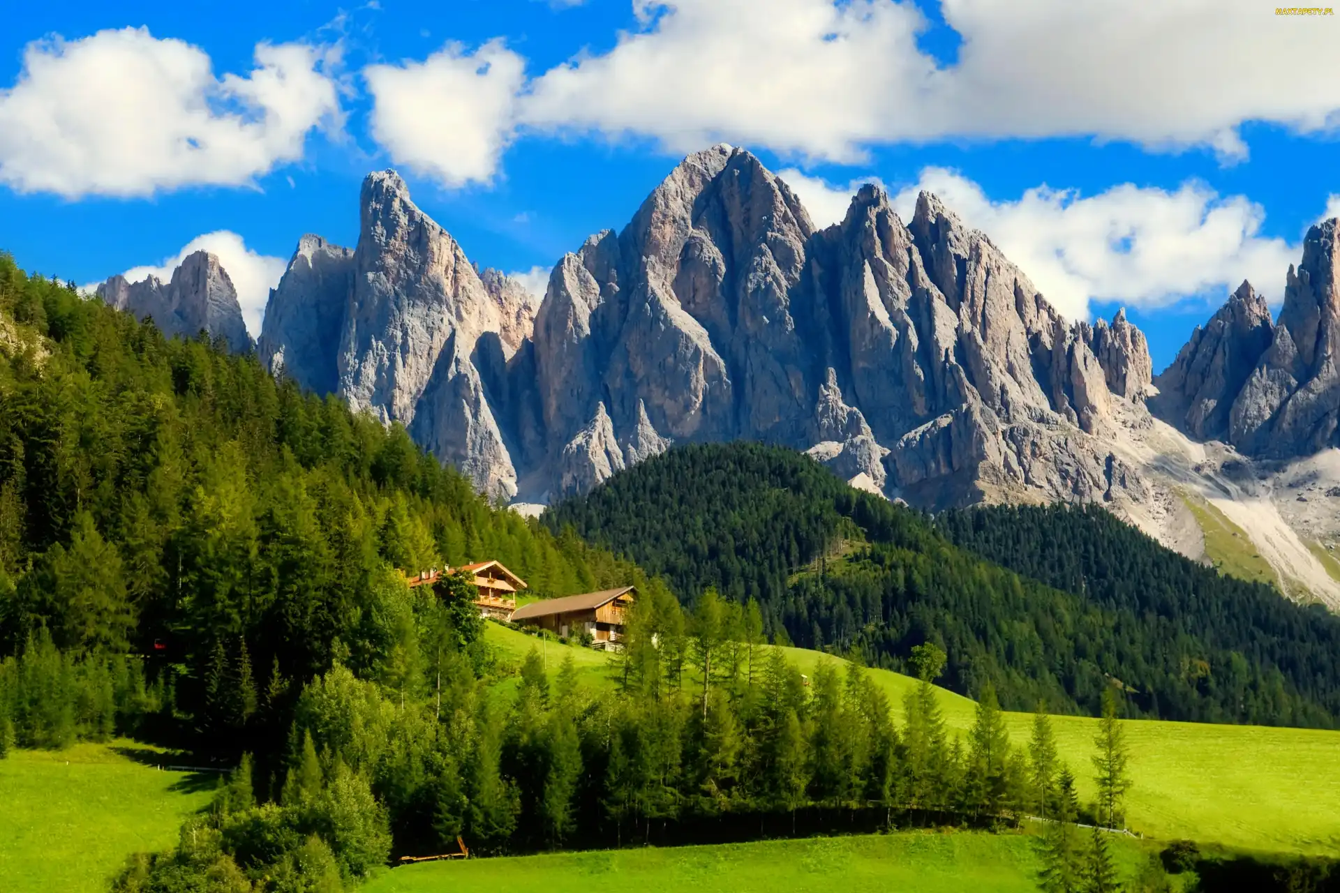 Tyrol, Południowy, Włochy, Łąki, Lasy, Alpy, Domy