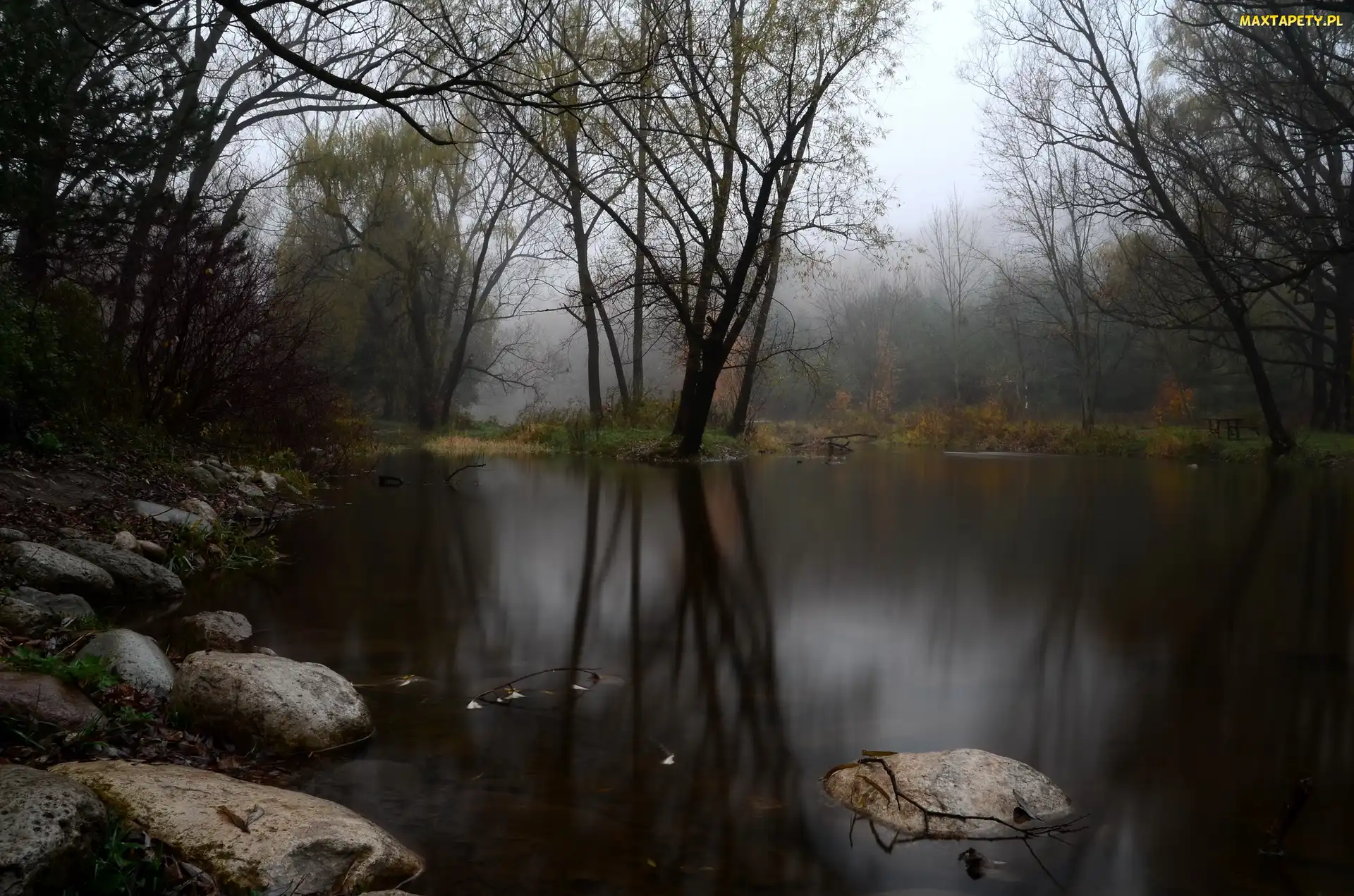 Drzewa, Zmierzch, Jezioro