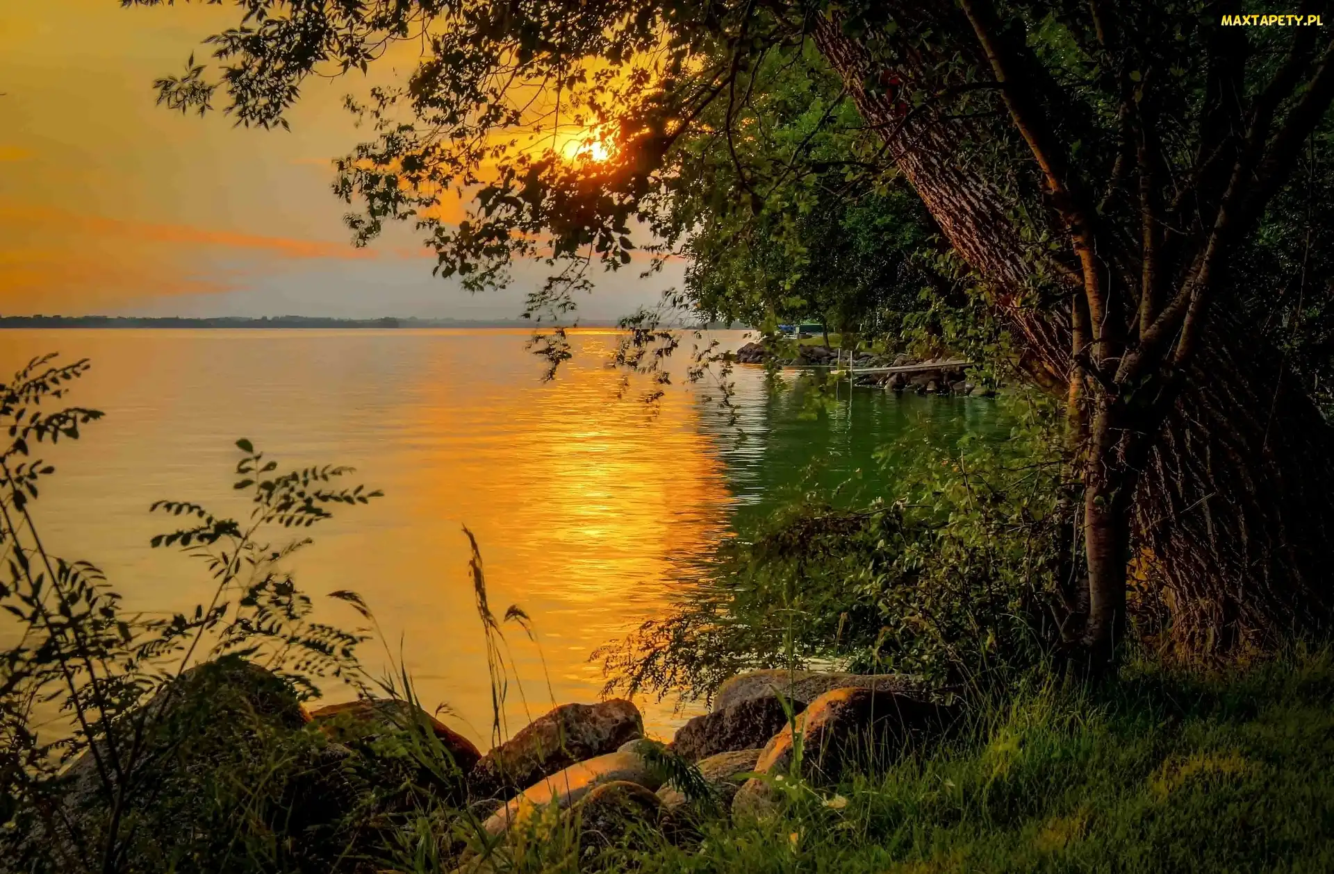 Roślinność, Słońca, Drzewo, Jezioro, Kamienie, Zachód