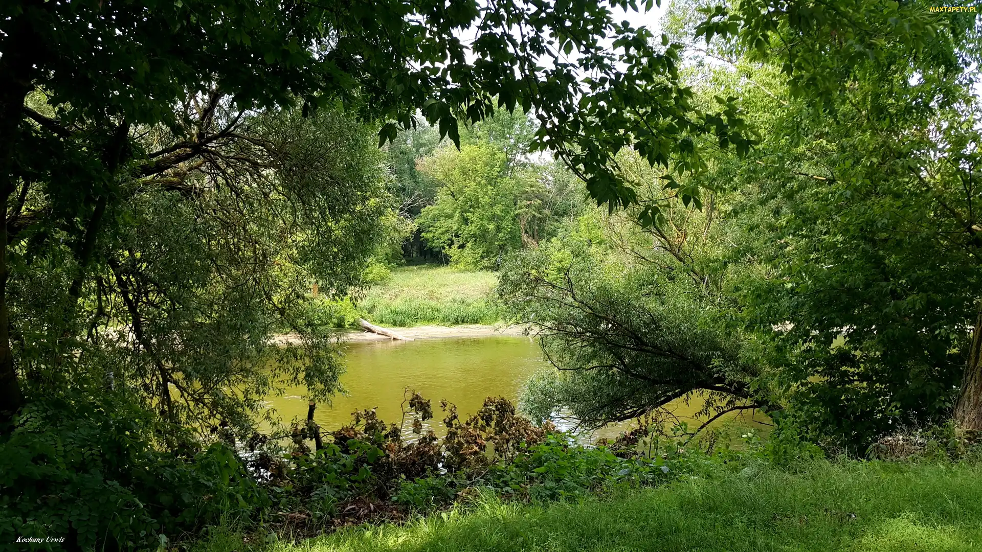 Drzewa, Rzeka