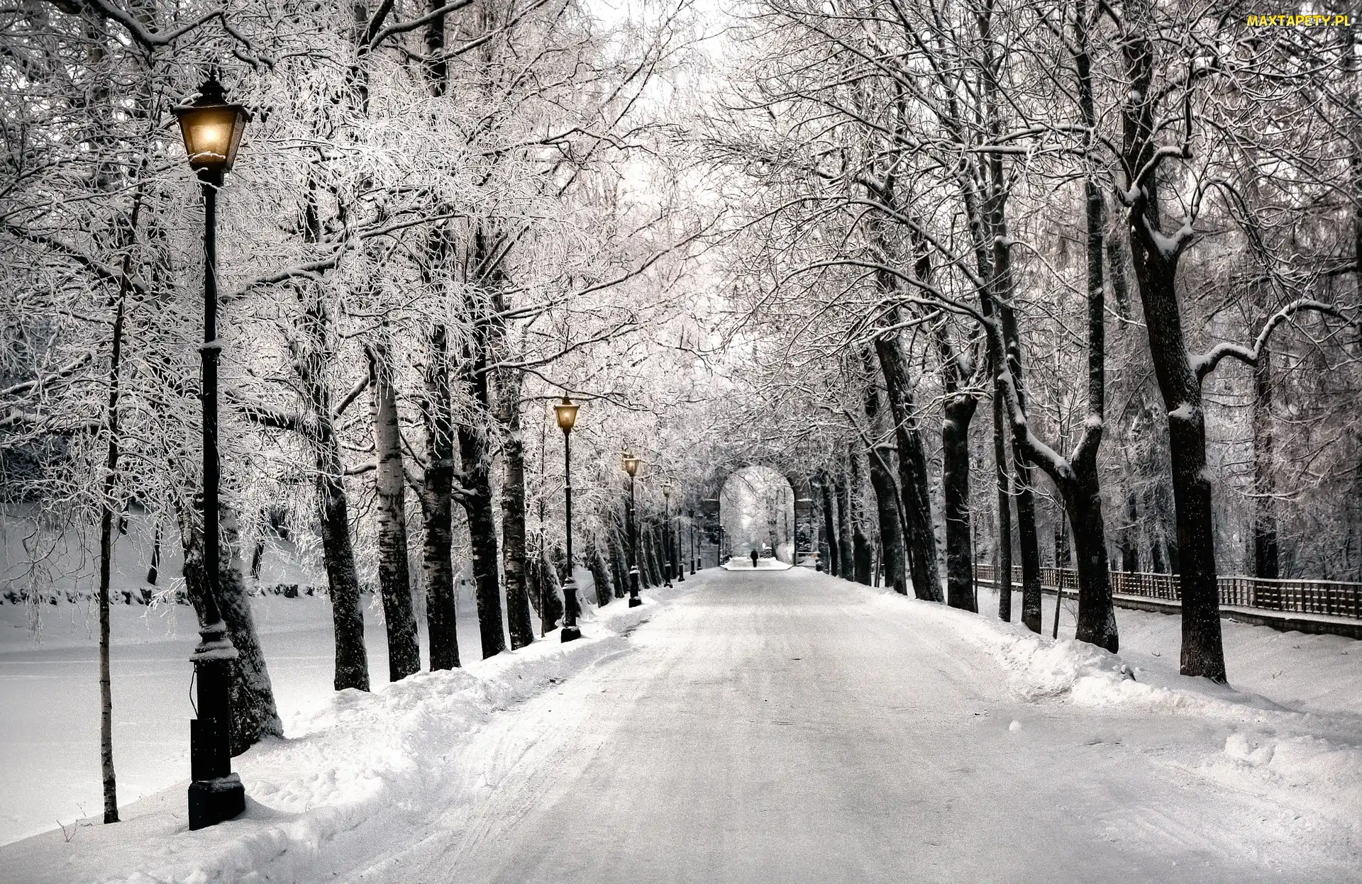 Park, Śnieg, Latarnie, Alejka