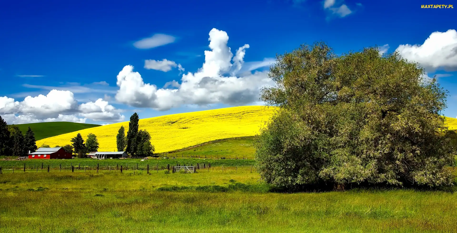 USA, Idaho, Wzgórza, Pola, Łąki, Farma