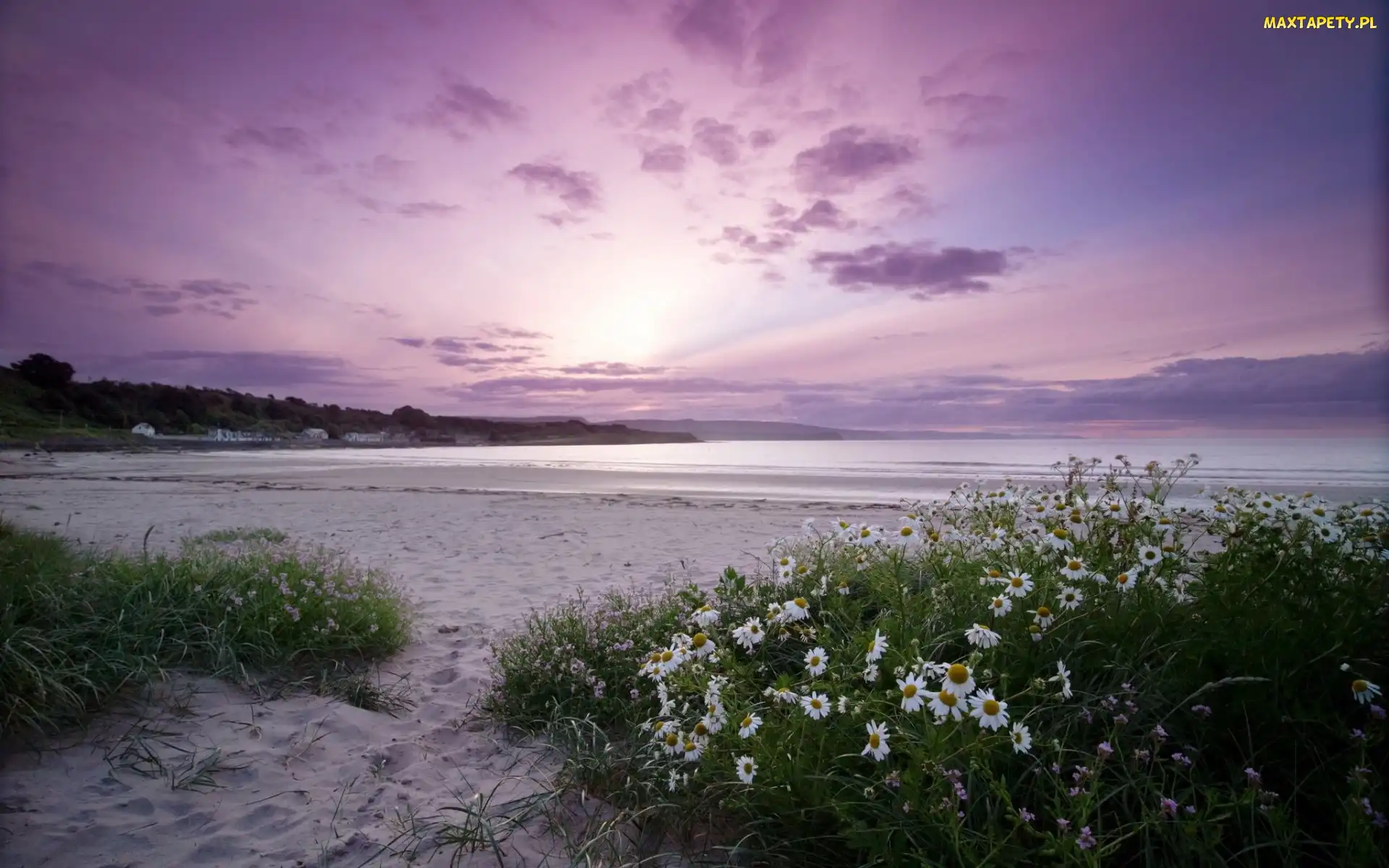 Morze, Rumianki, Plaża