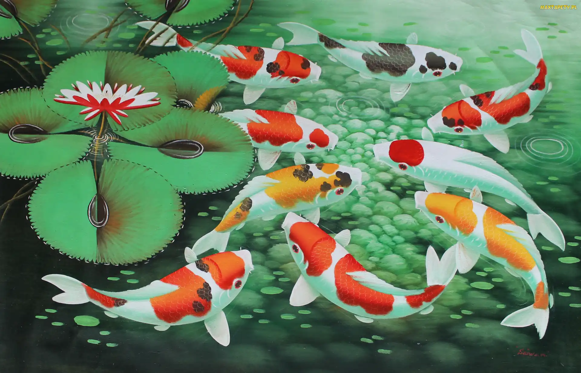 Grafika, Staw, Karpie, Koi