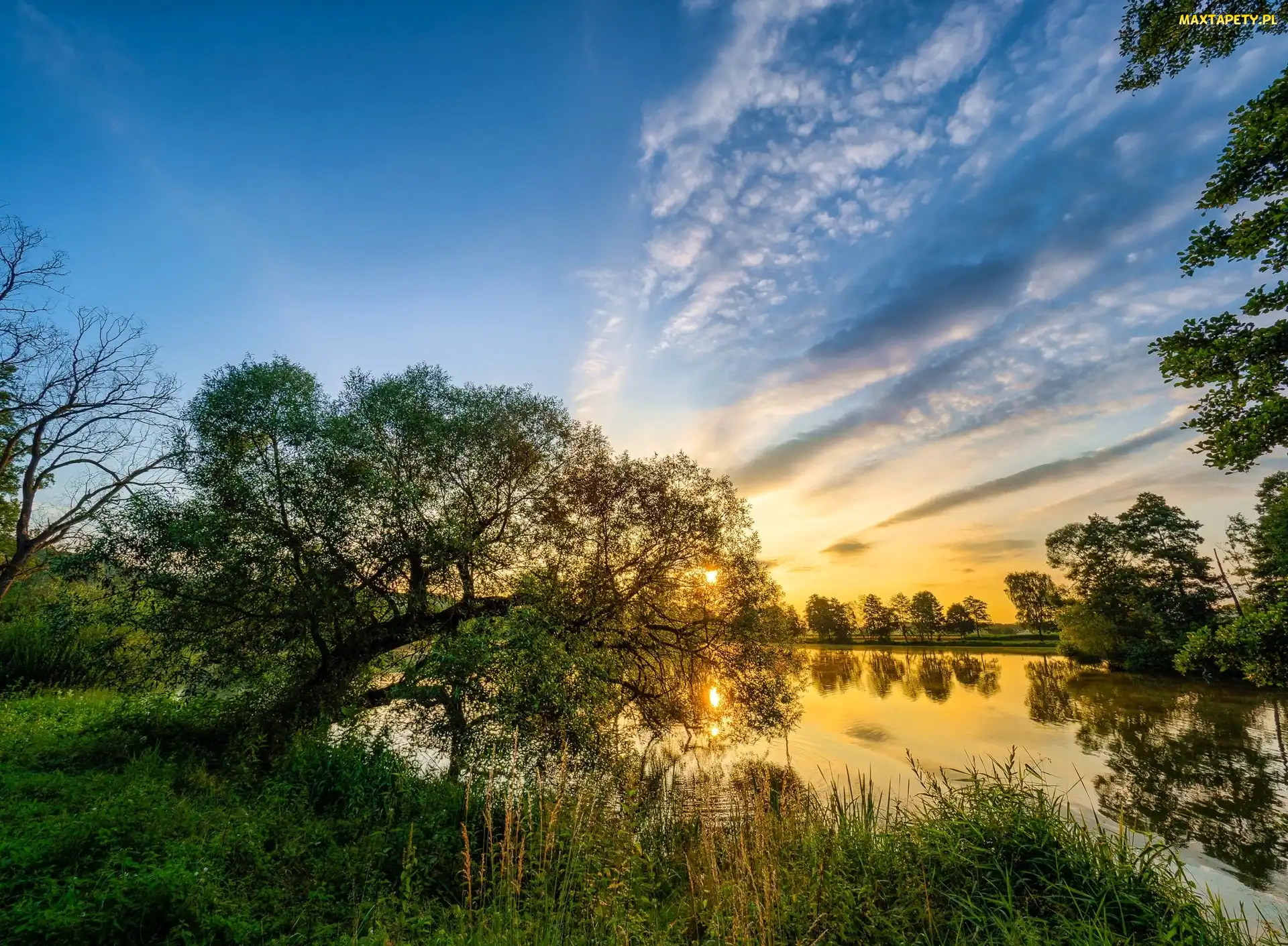Drzewa, Słońca, Wschód, Trawy, Jezioro