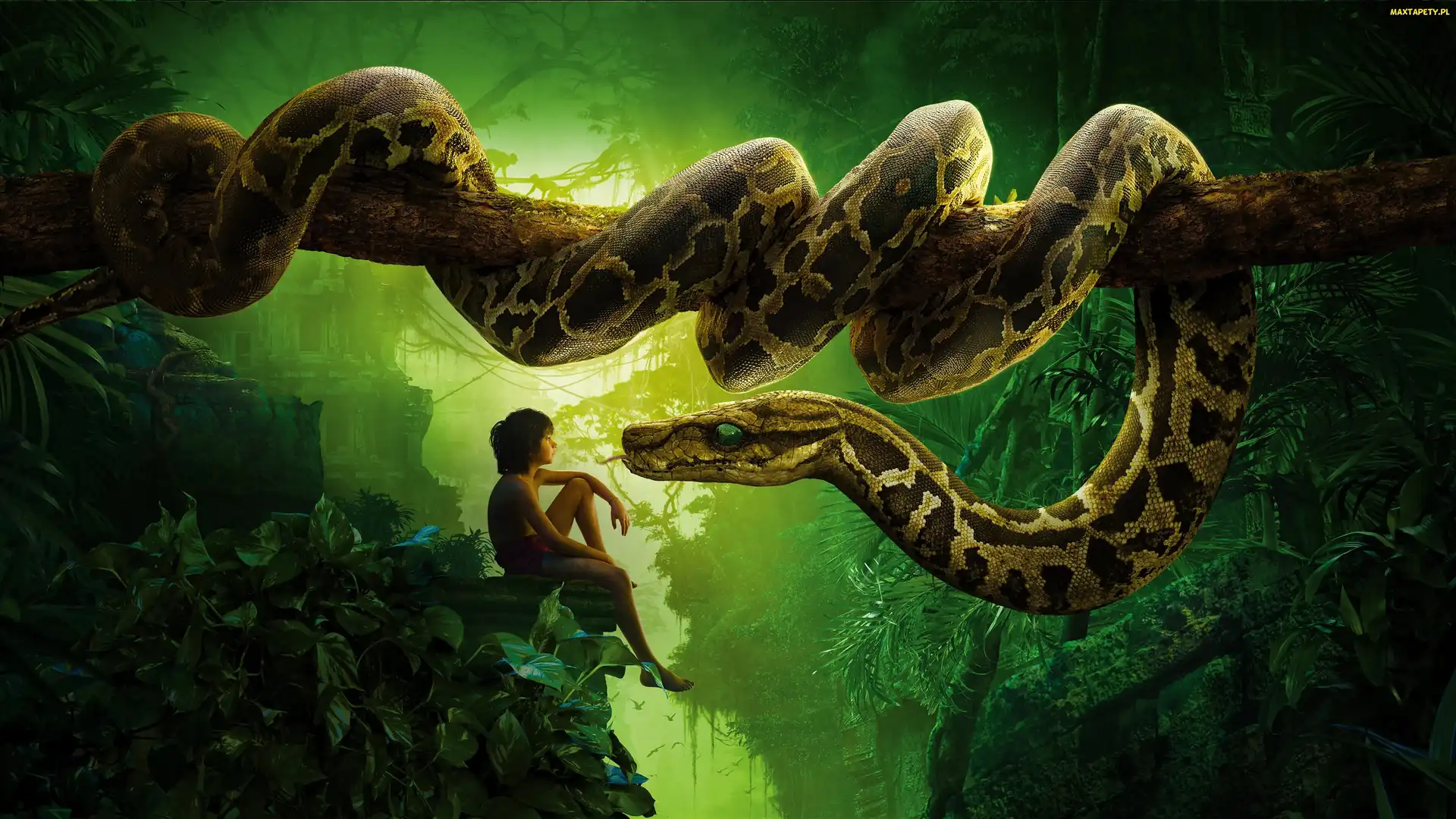 Chłopiec, The Jungle Book, Skały, Księga Dżungli, Wąż