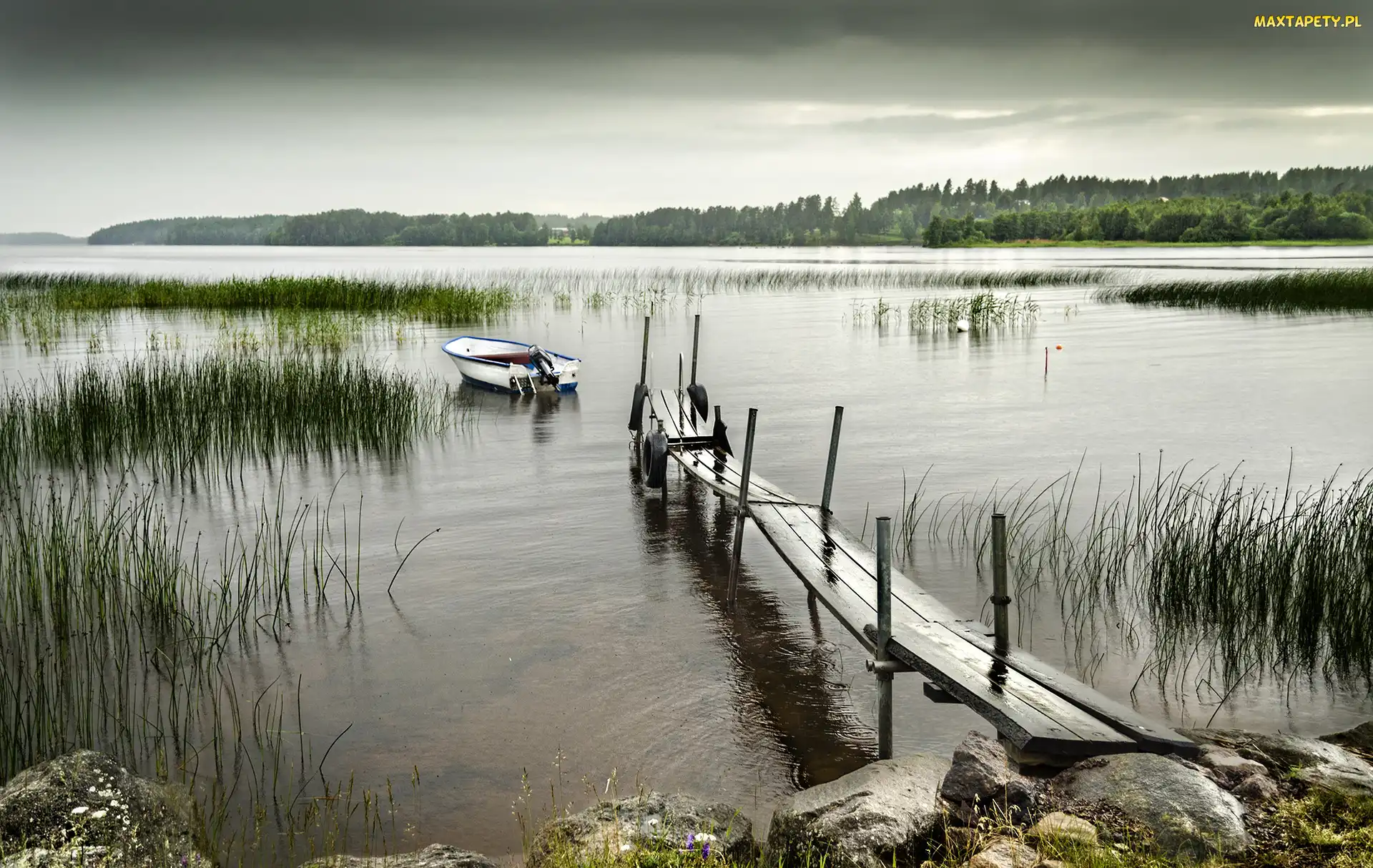 Trzciny, Łódka, Jezioro, Pomost