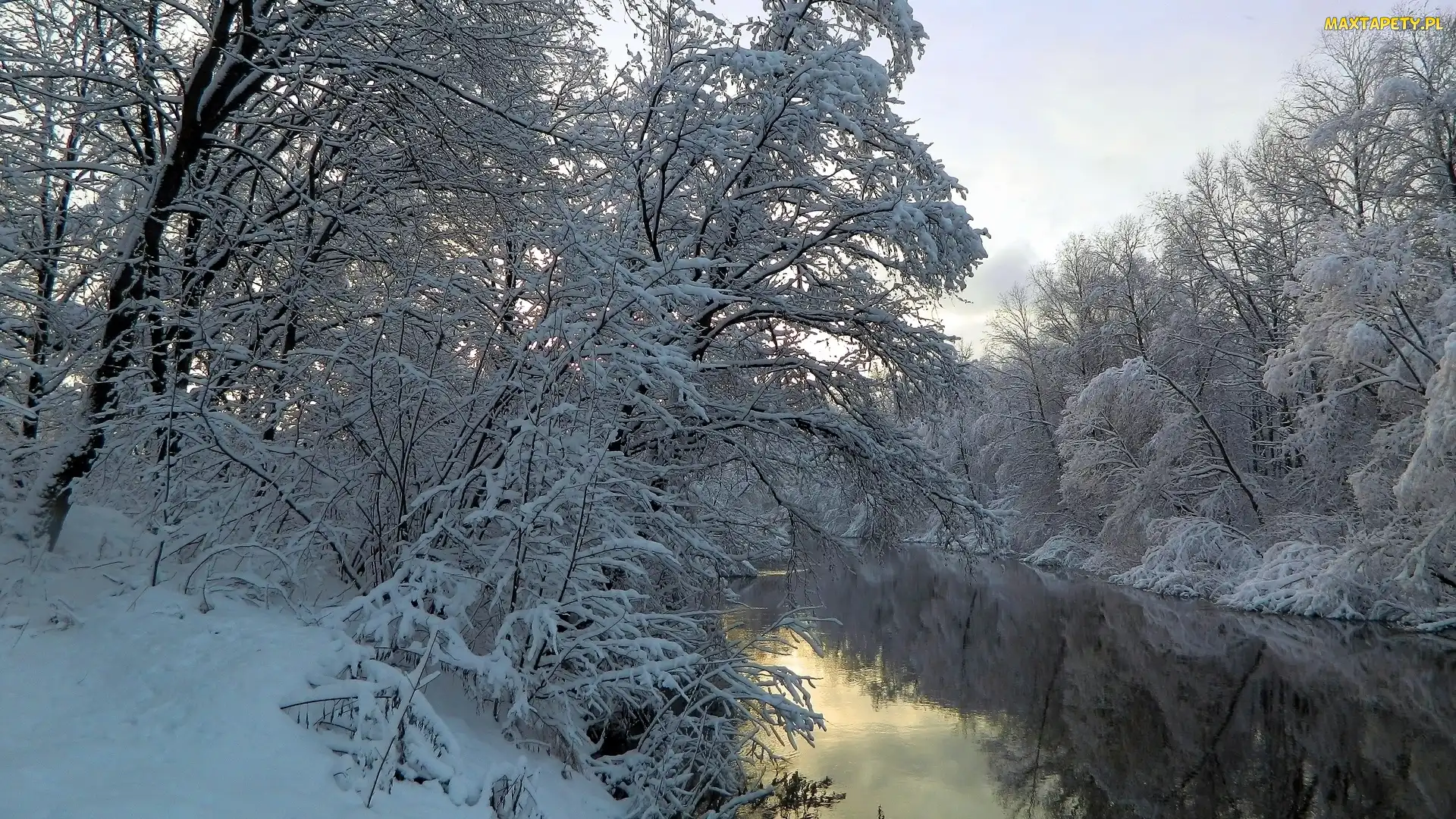 Drzewa, Śnieg, Rzeka