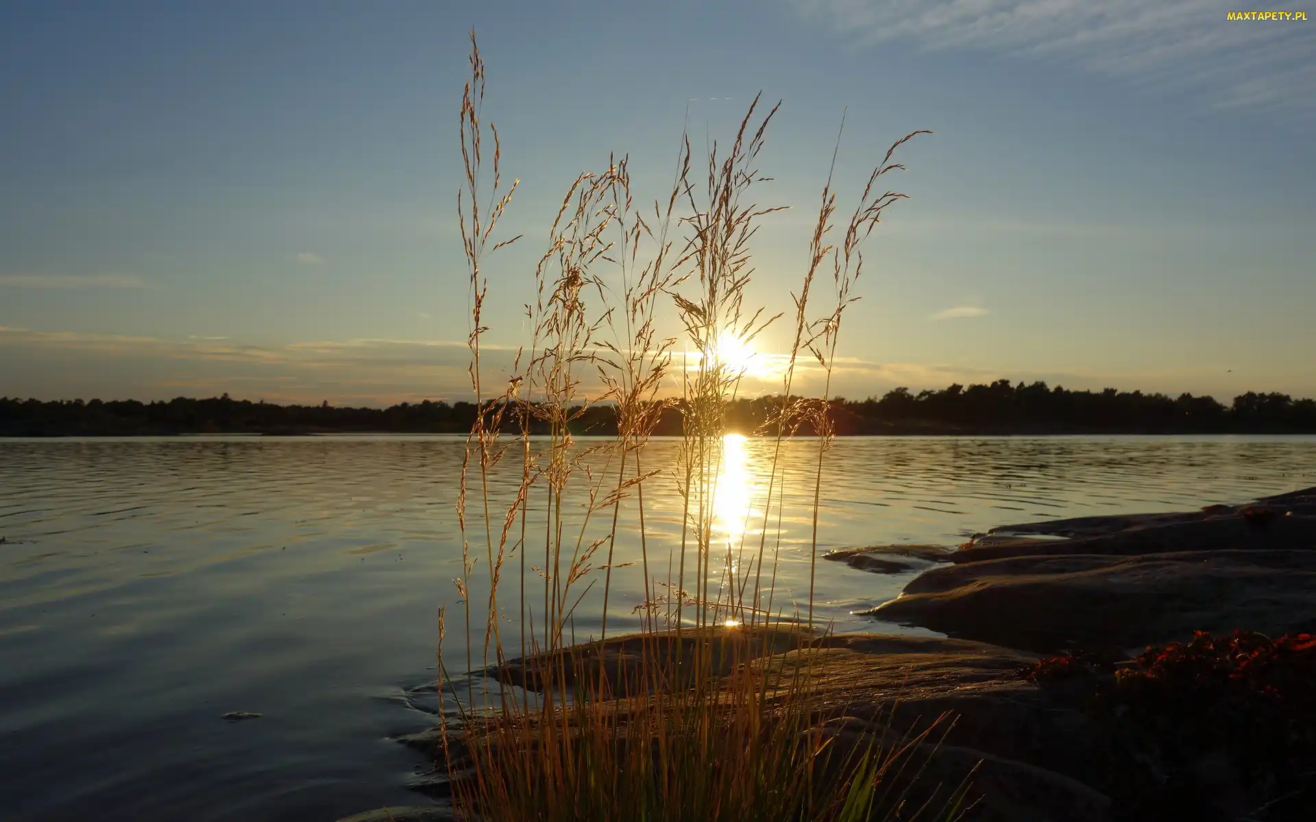 Roślinność, Zachód słońca, Jezioro, Las