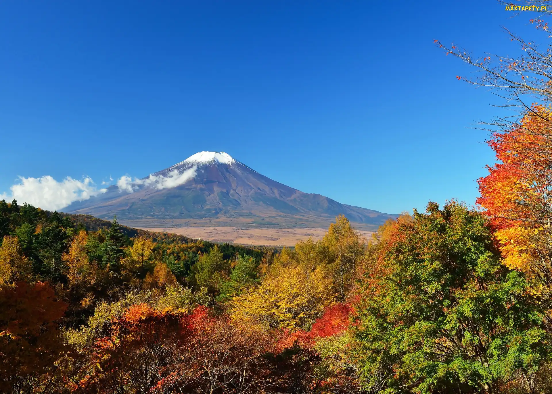 Fuji, Wulkan, Japonia, Krzewy, Góra