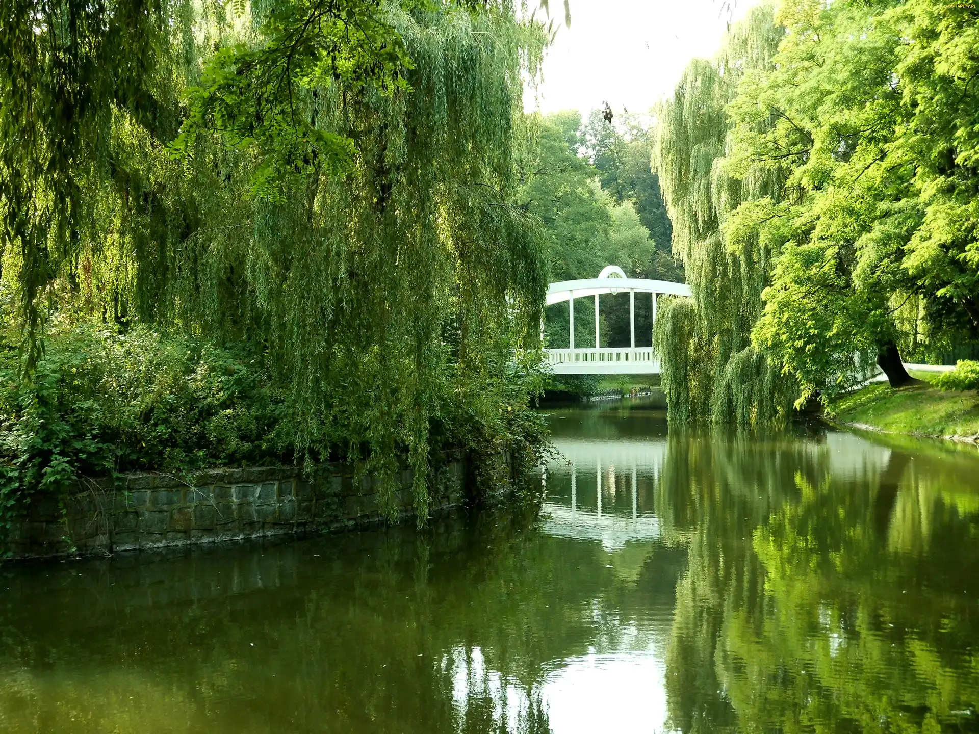 Most, Jezioro, Woda, Drzewa, Park