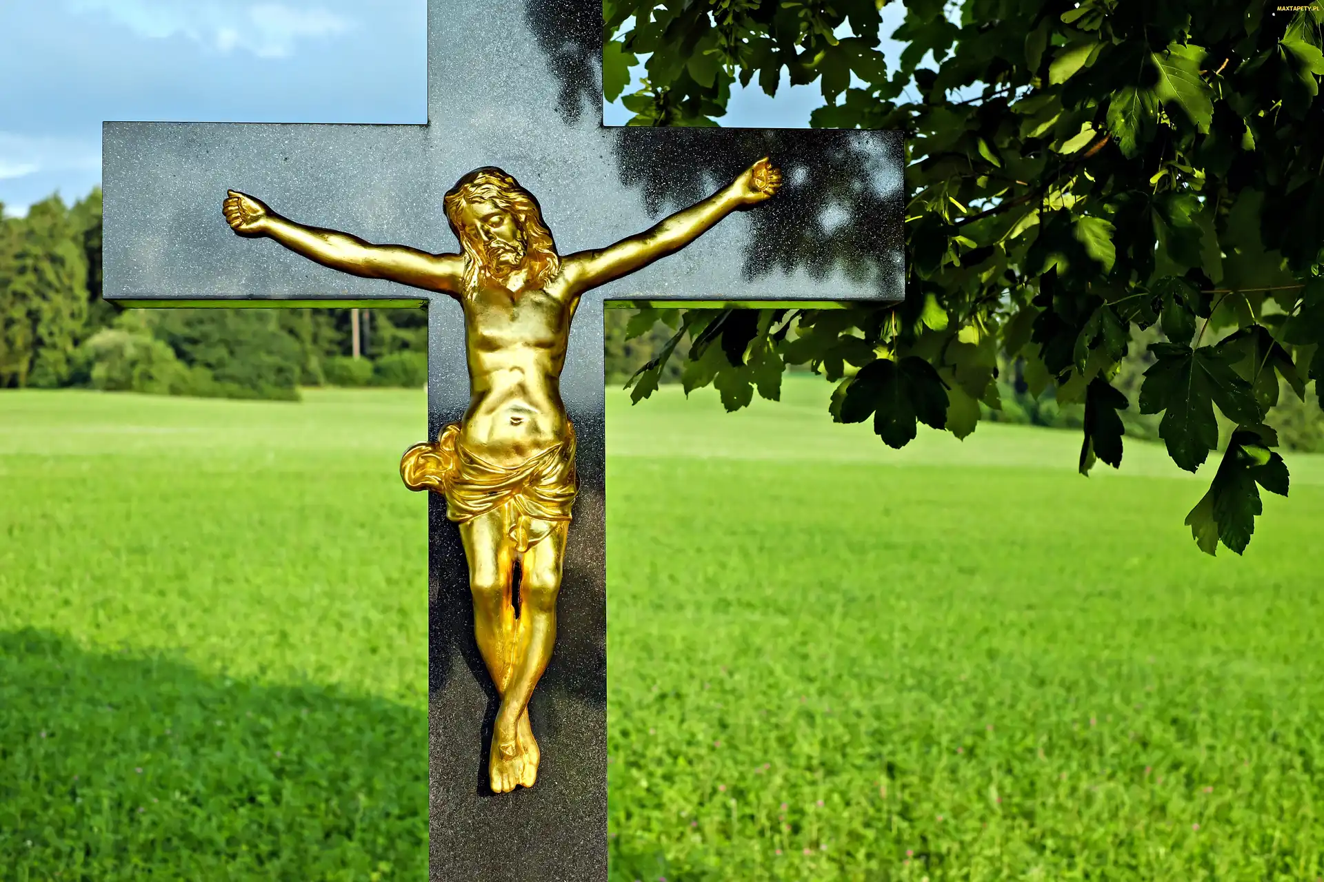 Drzewo, Jezus, Religijne, Krzyż