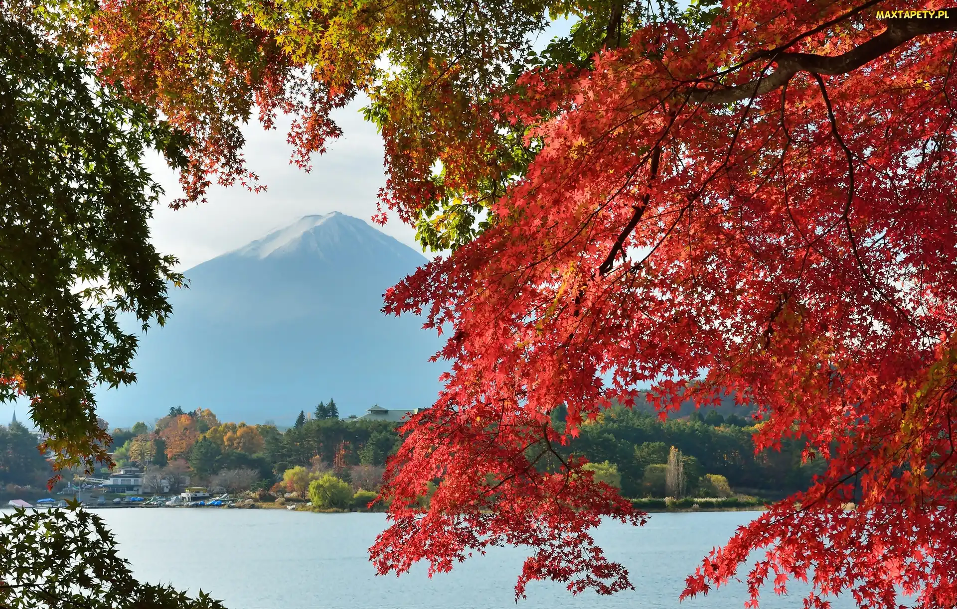 Góra, Japonia, Gałęzie, Fuji