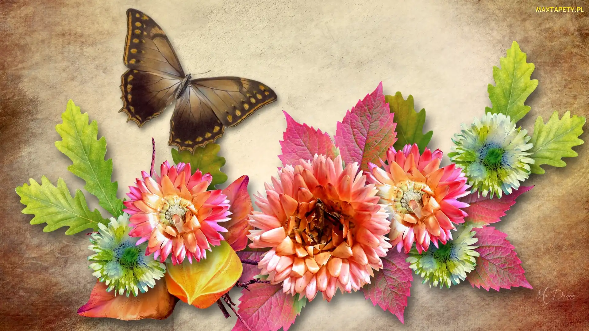 Grafika, Motyl, Liście, Kwiaty