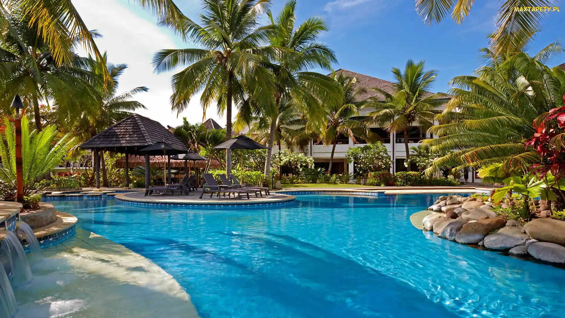 Hotel, Palmy, Basen, Domki
