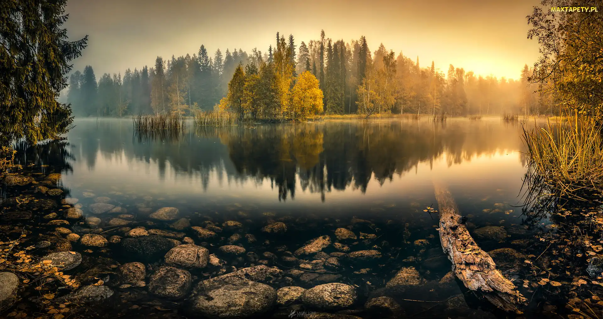 Jezioro, Kamienie, Drzewa, Mgła, Jesień