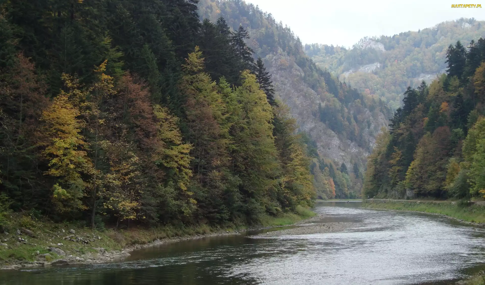 Góry, Polska, Dunajca, Przełom, Pieniny