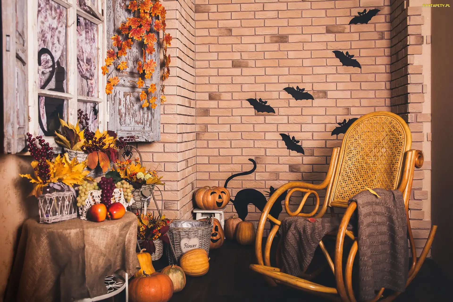 Dekoracje, Bujany, Fotel, Dynie, Halloween