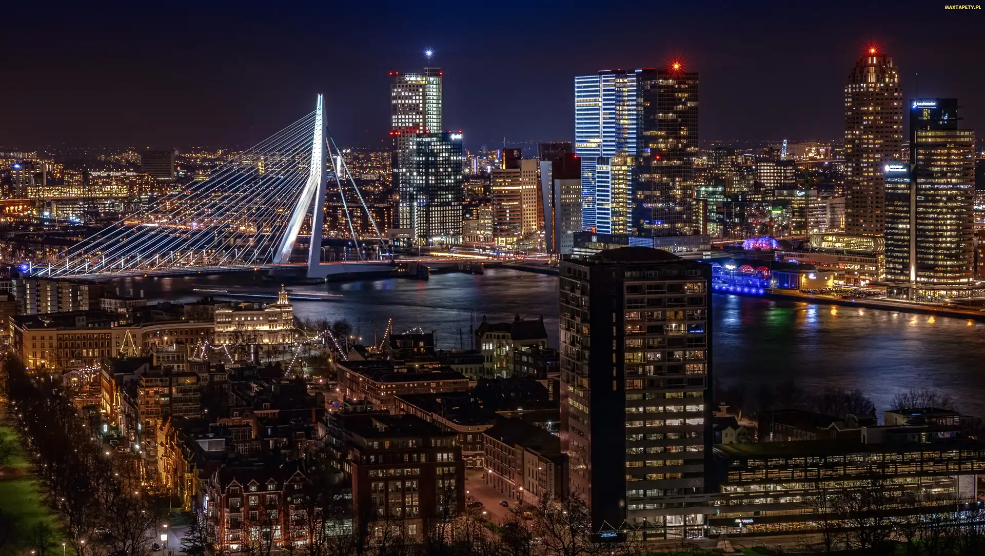 Holandia, Europa, Rotterdam