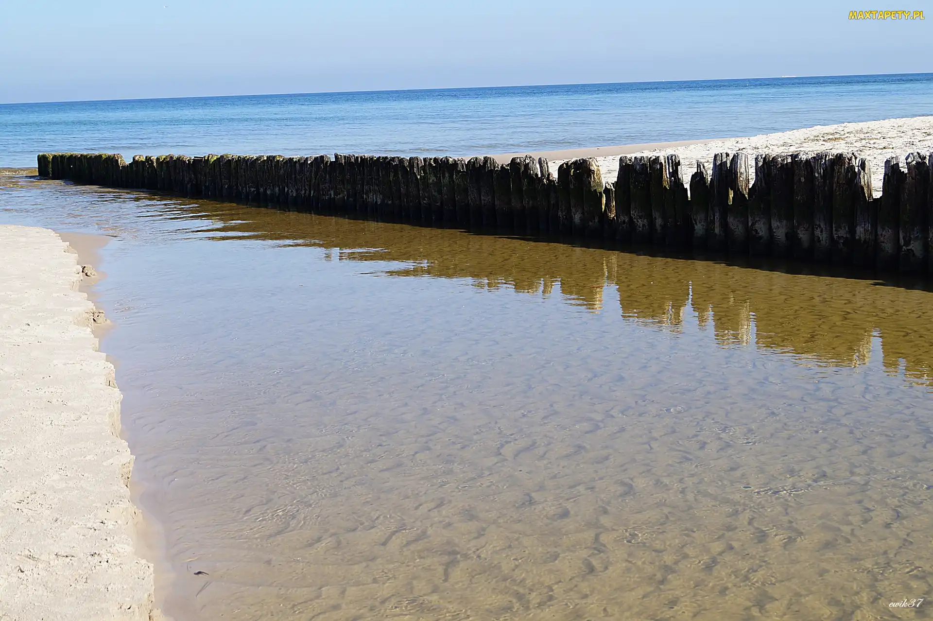 Morze, Plaża, Drewniane, Pale