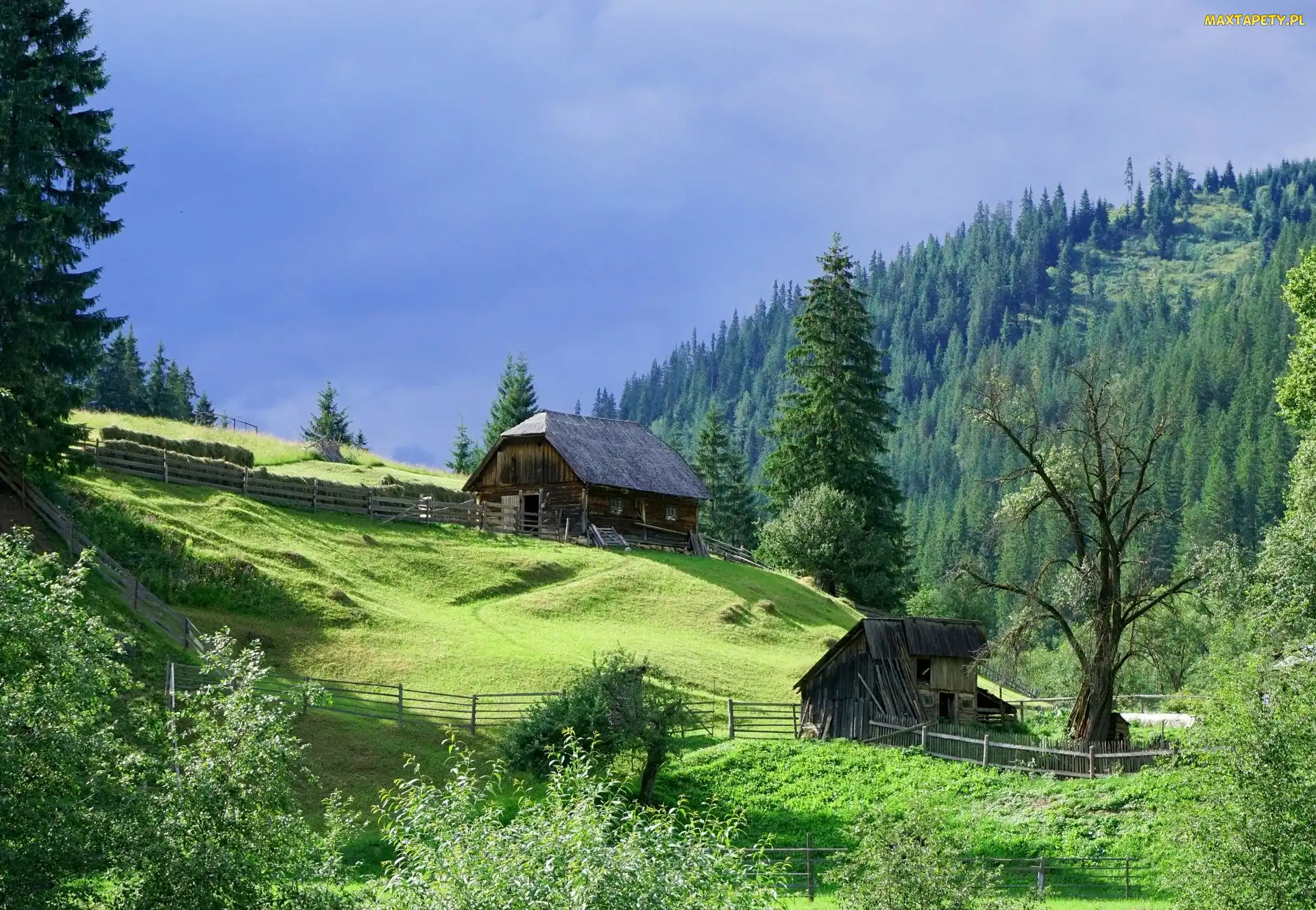 Drzewa, Ogrodzenie, Chata, Wzgórza, Las
