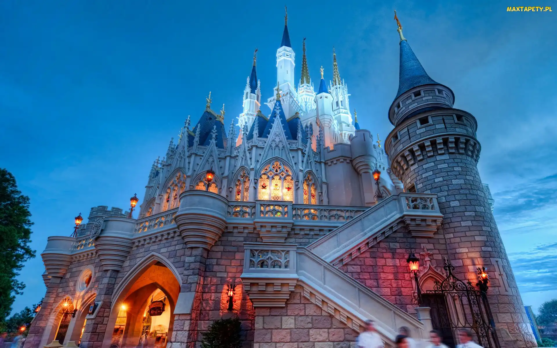 Zamek, Światła, Disneyland