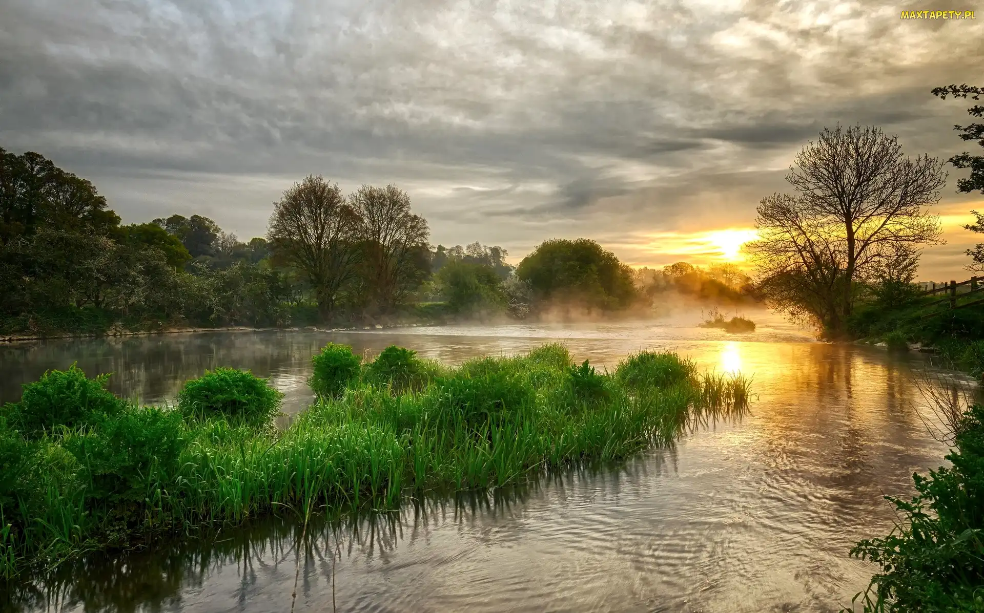 Drzewa, Roślinność, Słońca, Wschód, Jezioro