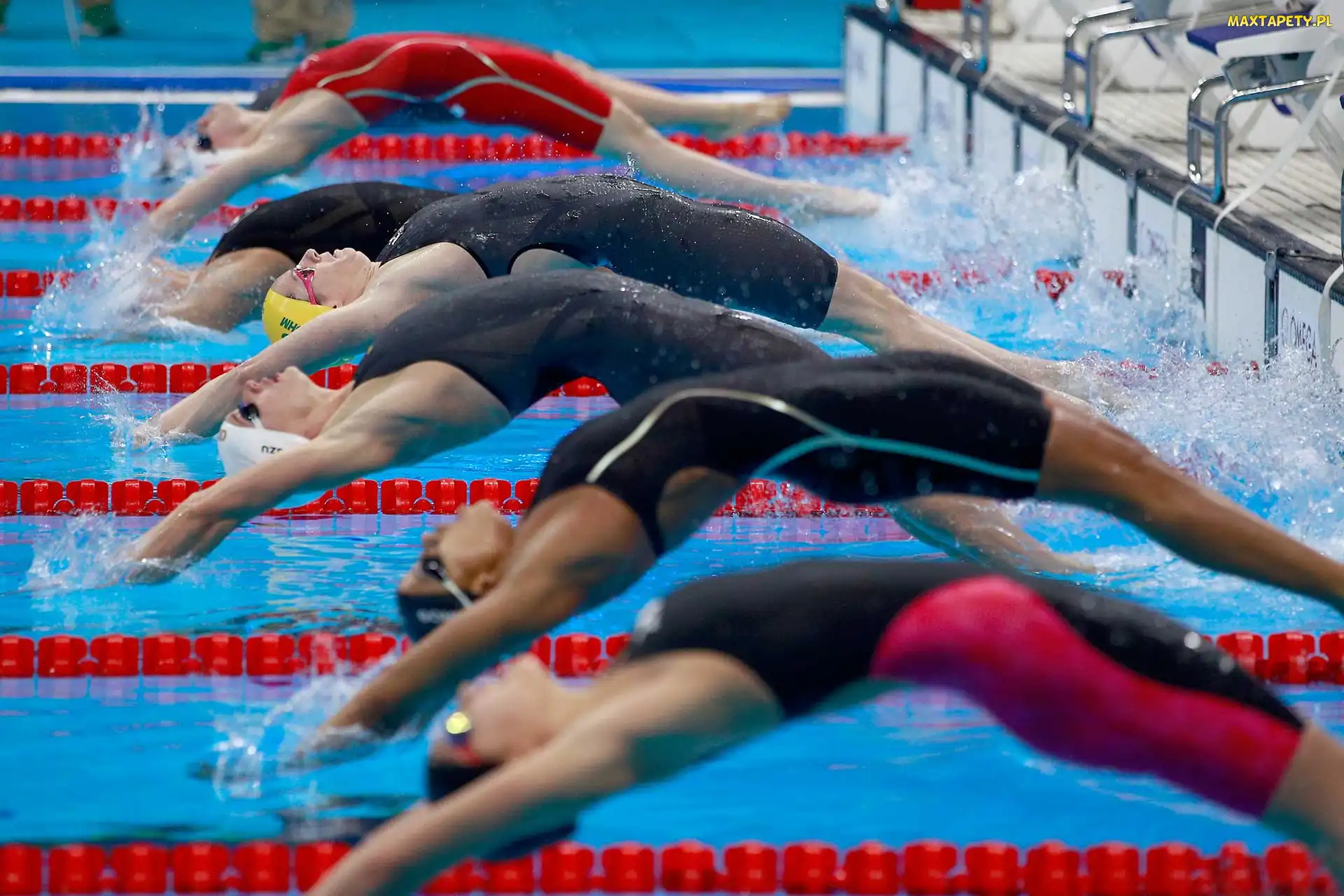 Sportowcy, Pływanie, Basen, Zawody