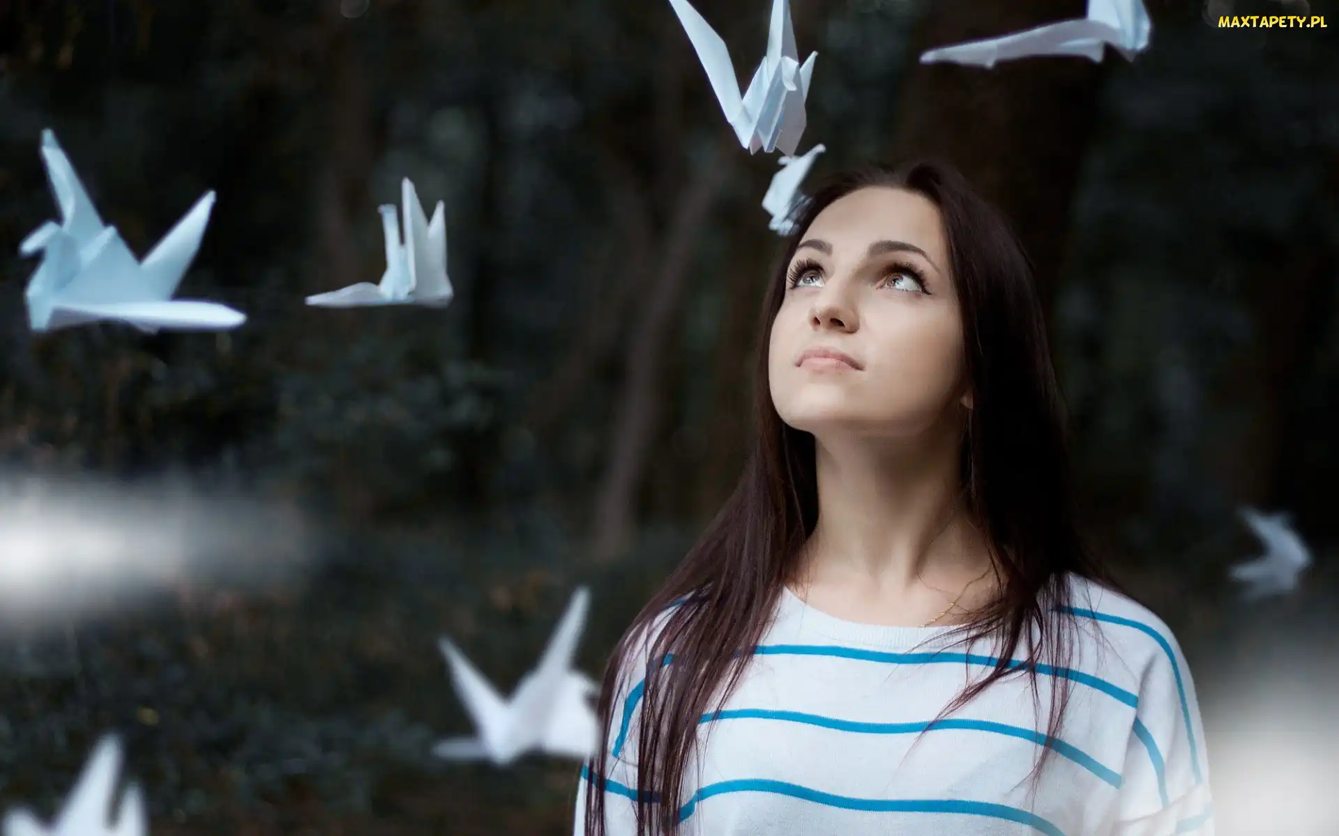 Dziewczyna, Origami, Brunetka